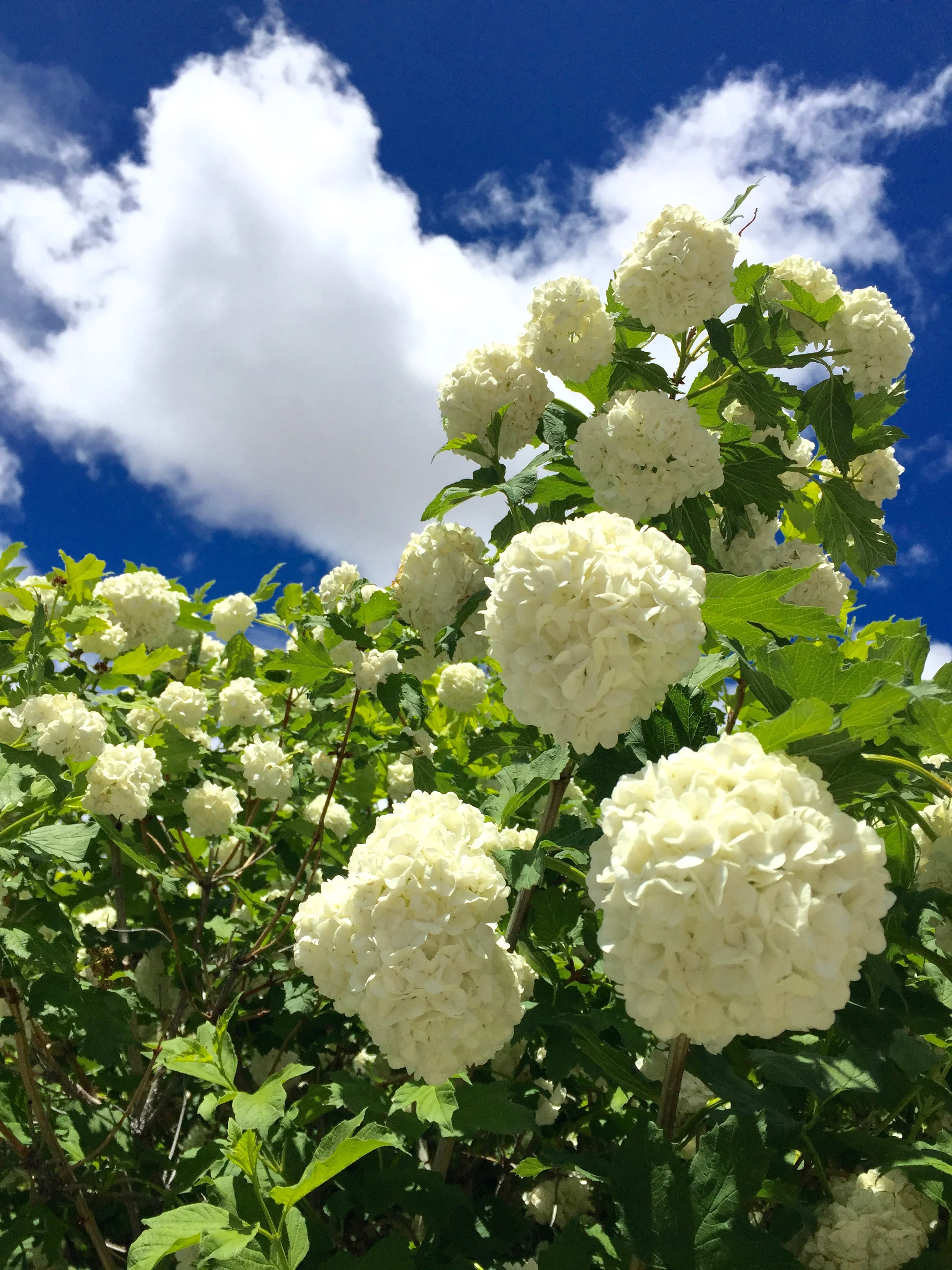 Don't Let Summer Pass You By!