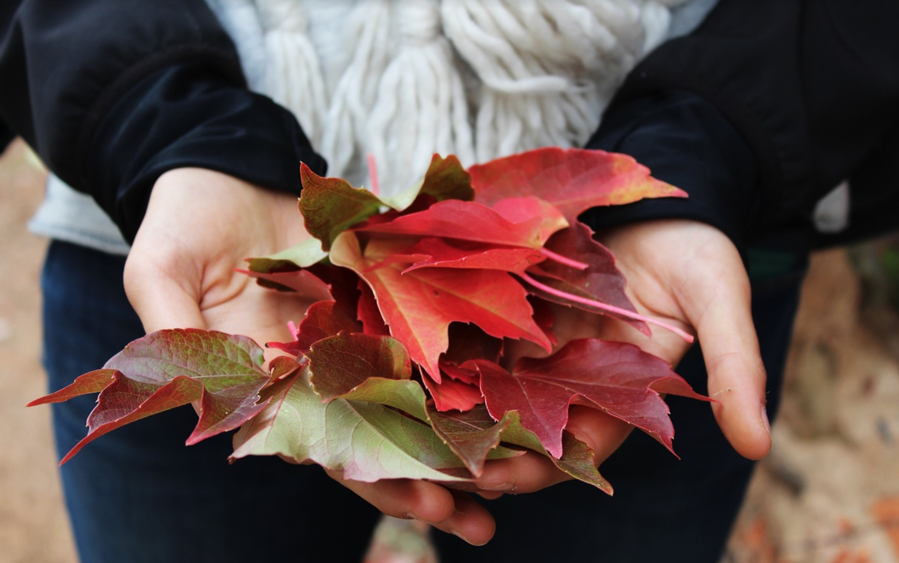 Healing with Gratitude