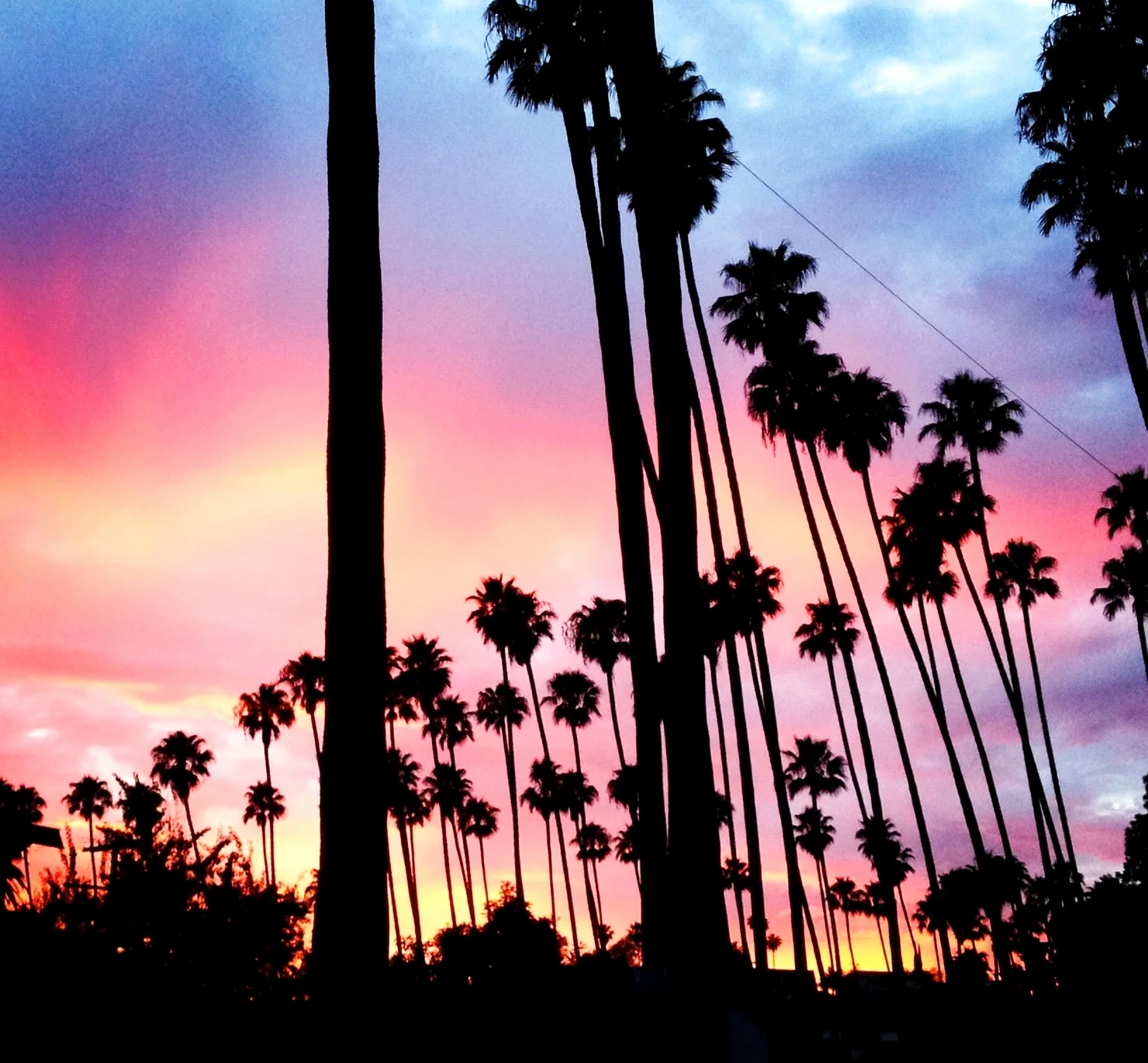 5 Joys of LA Summertime