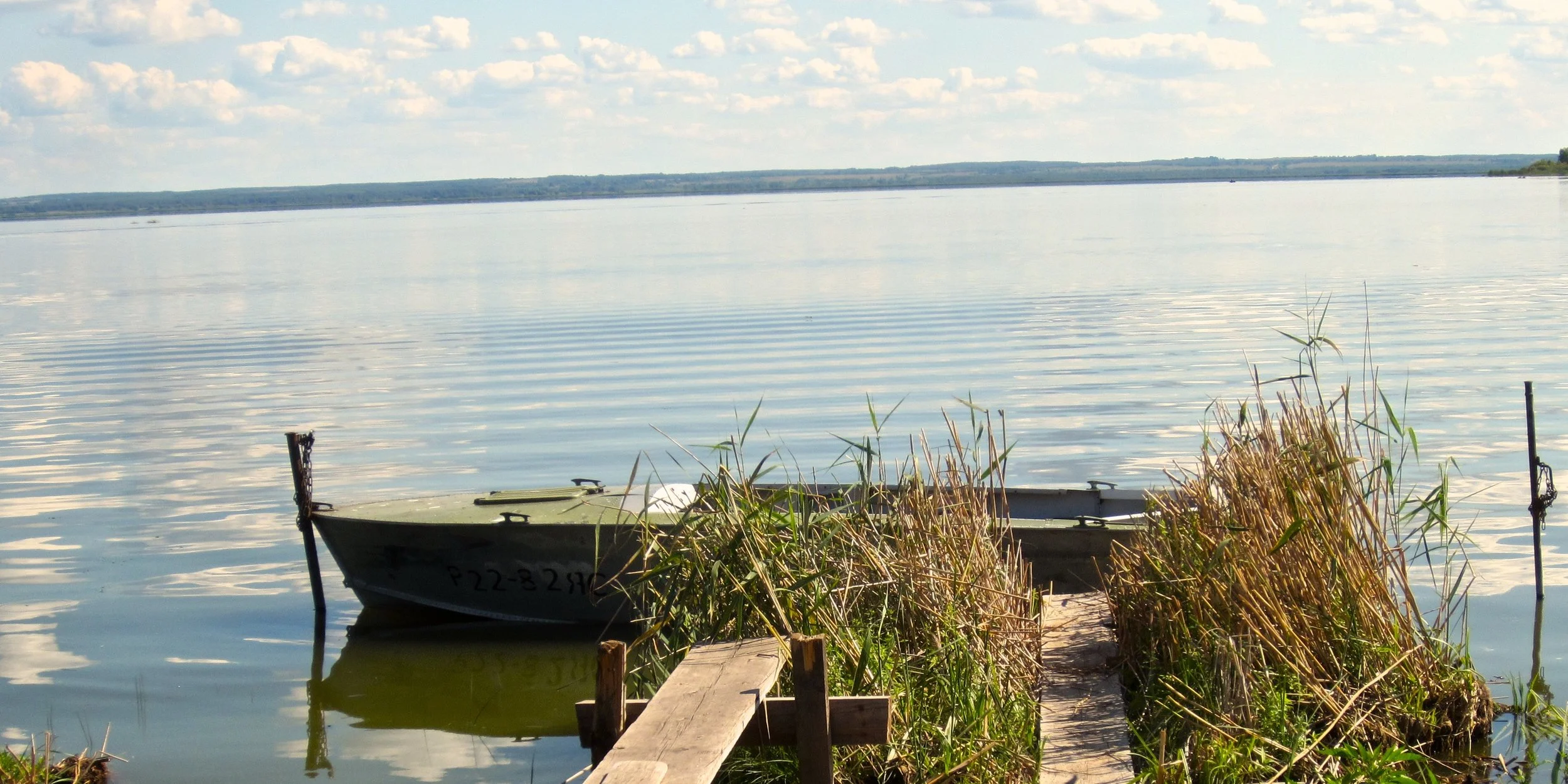 Expanding Perspective