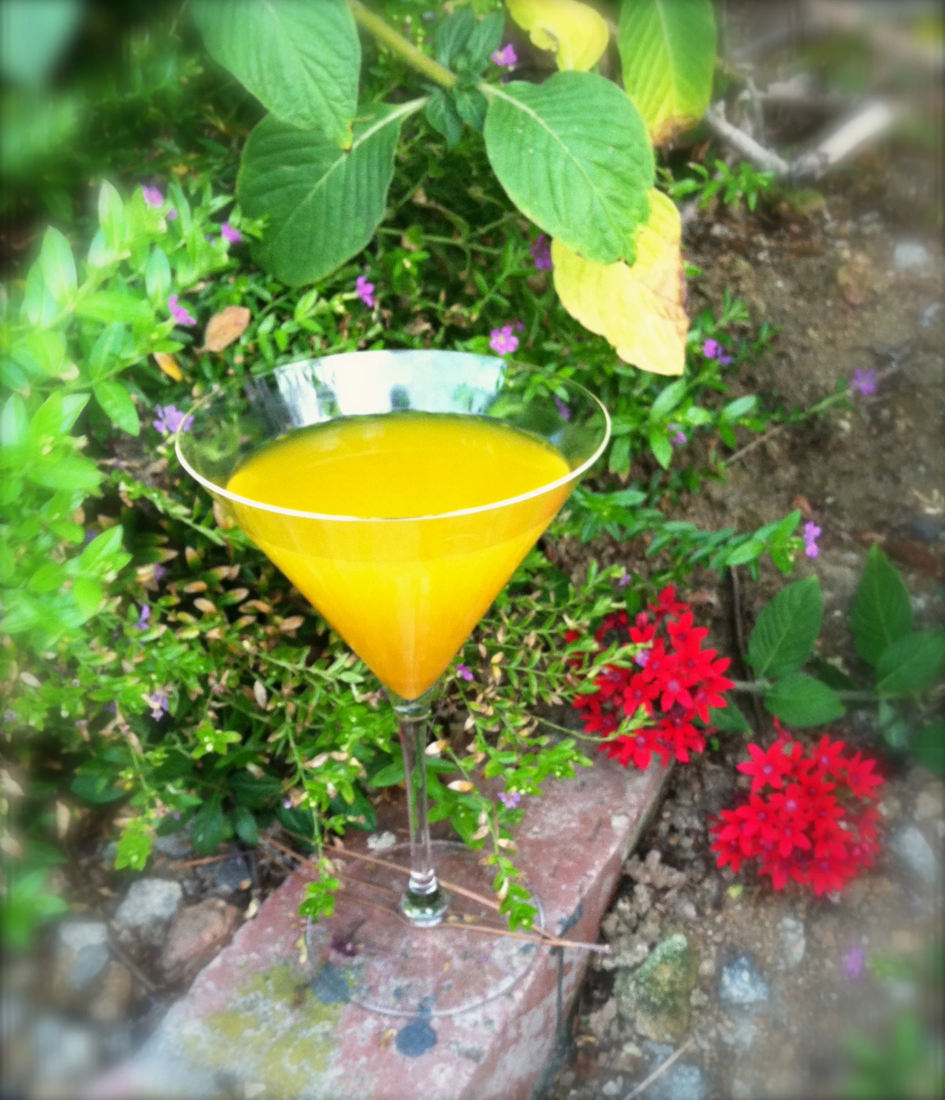 Turmeric Ginger Lemon Brew