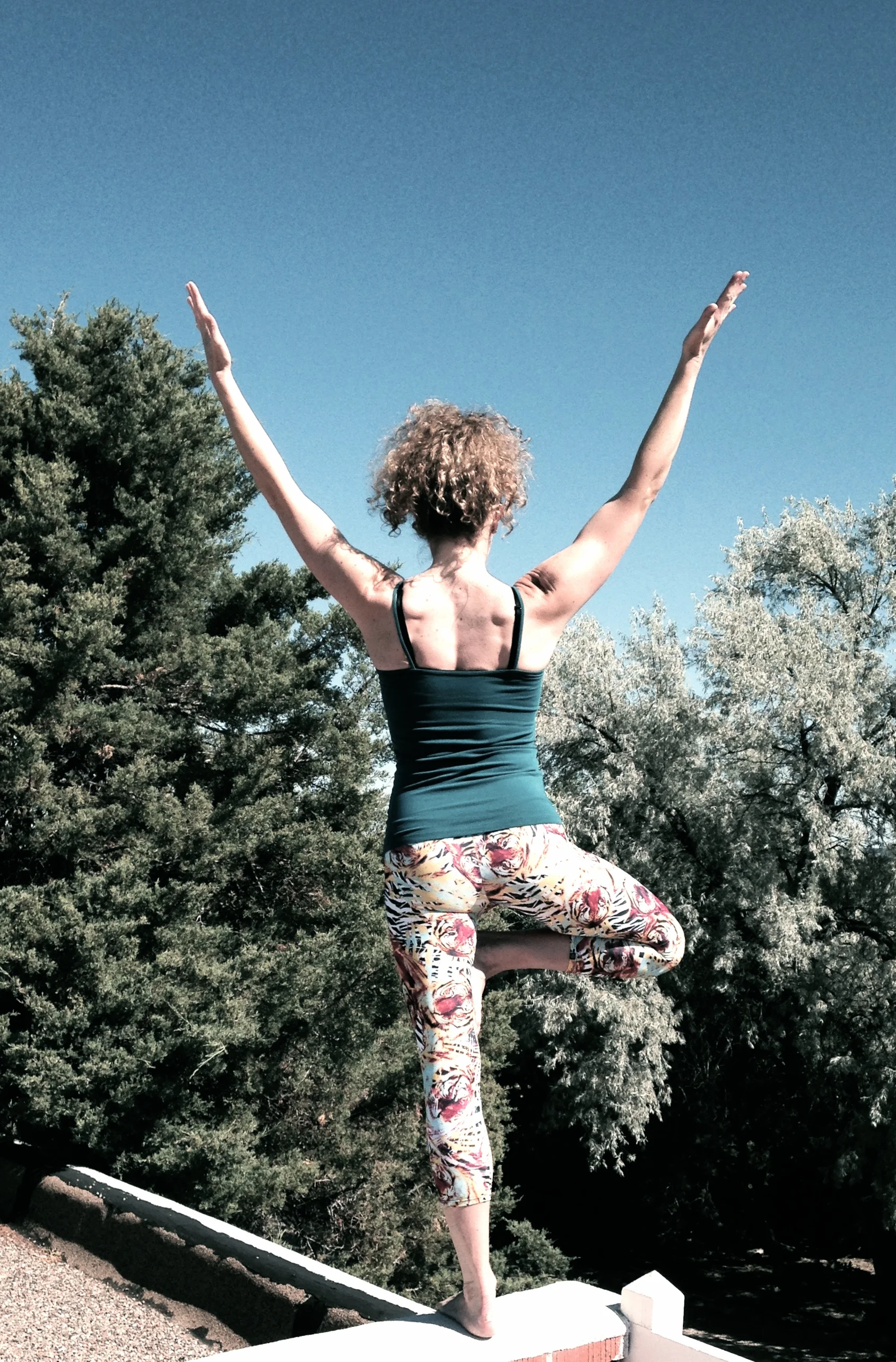 Tree Pose (Vrksasana)