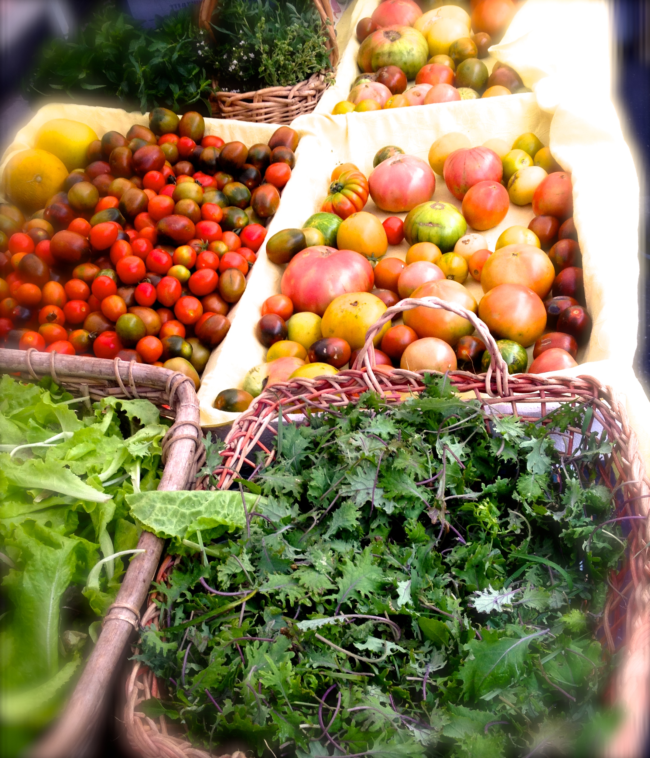 5 Tips to Hit the Market