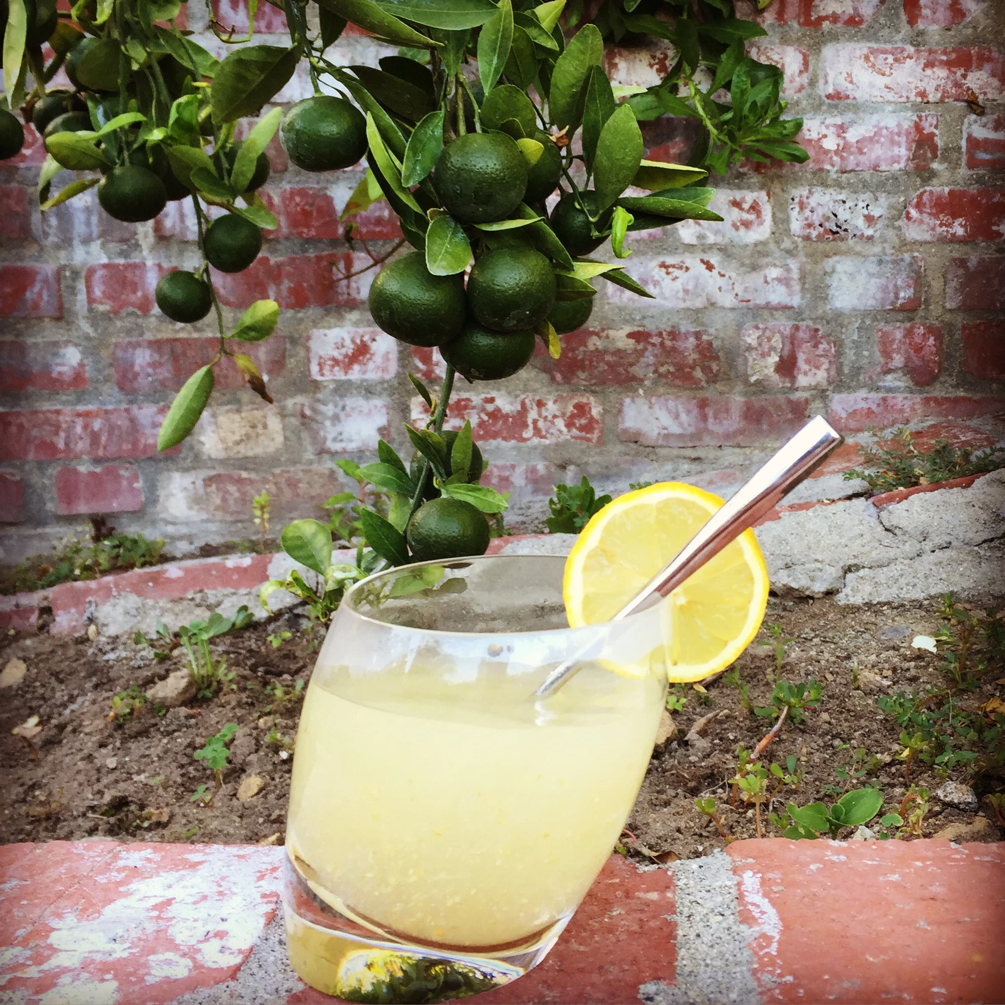 Lemon-Flax-Maca Magic