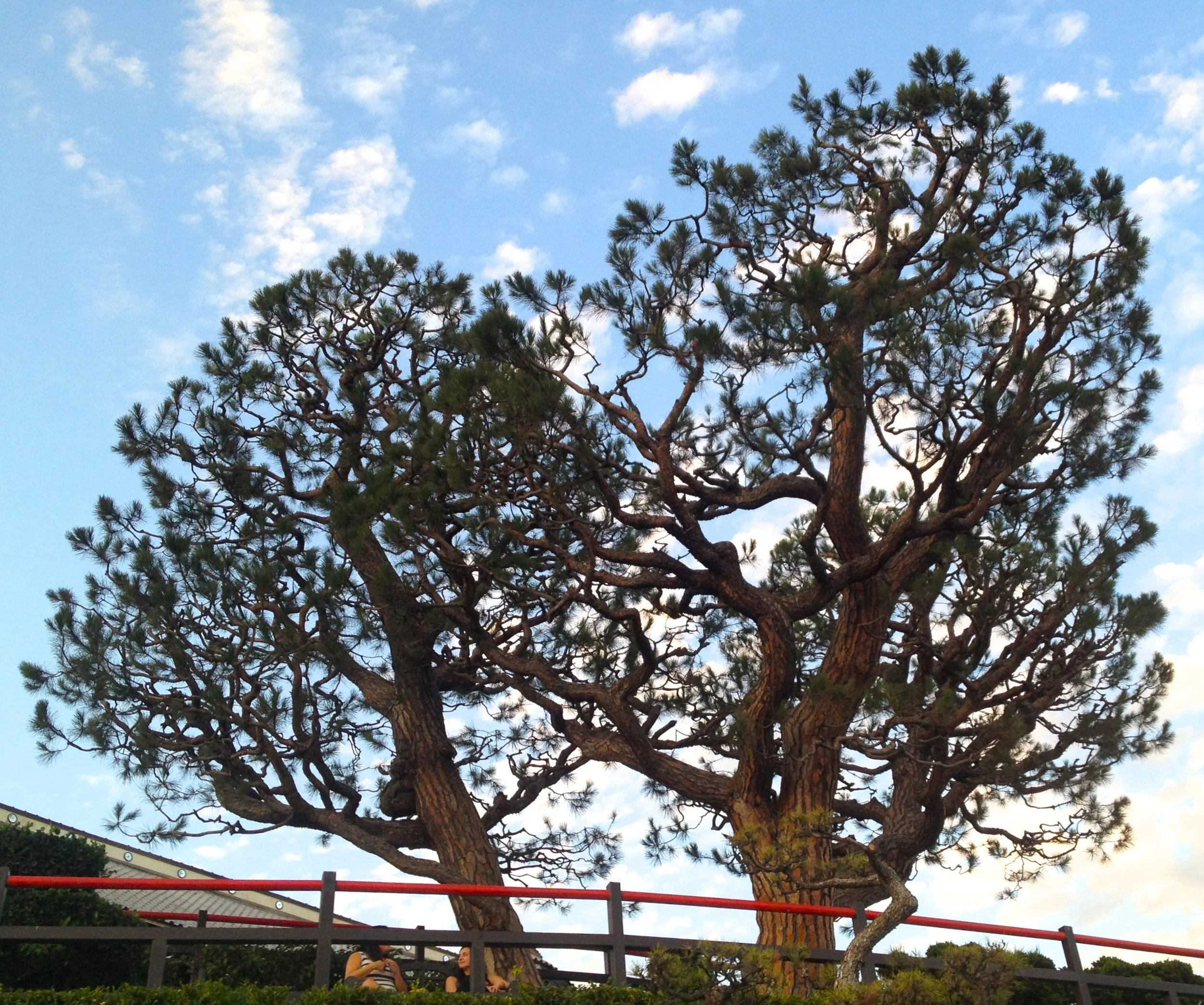 Reaching Out--Taking Chances