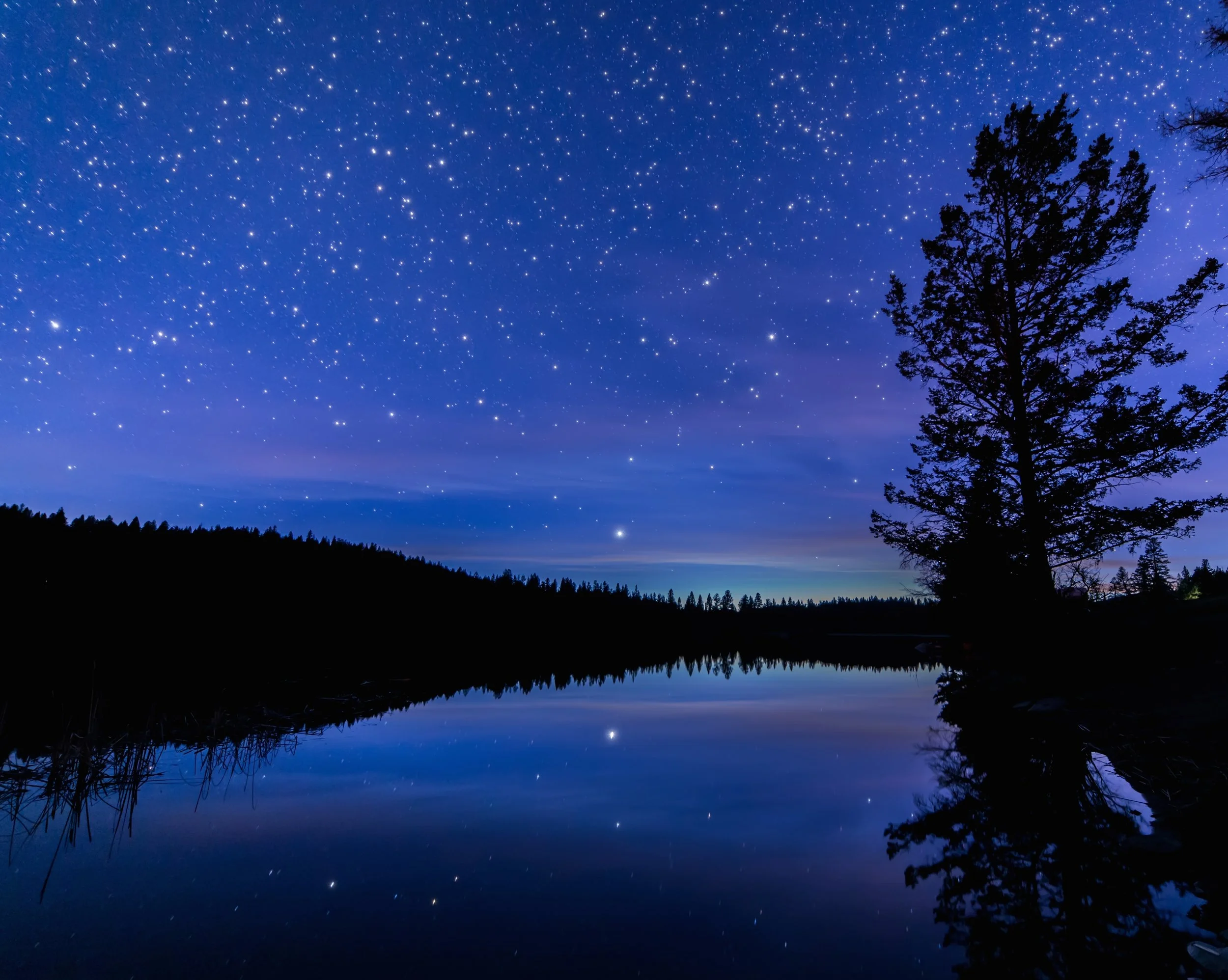 5 Ways to Treat the Senses