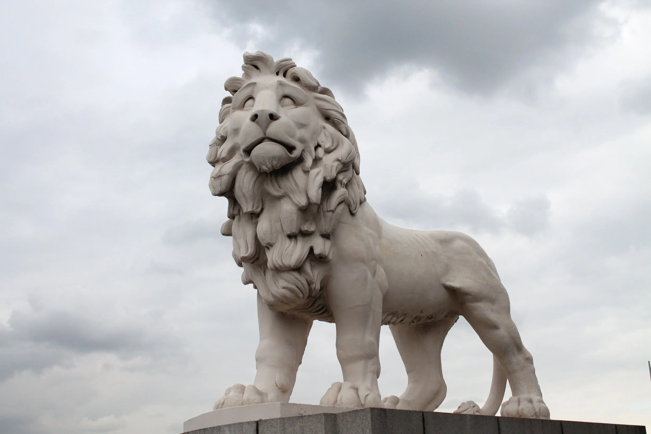 Love, Fear, and Courage