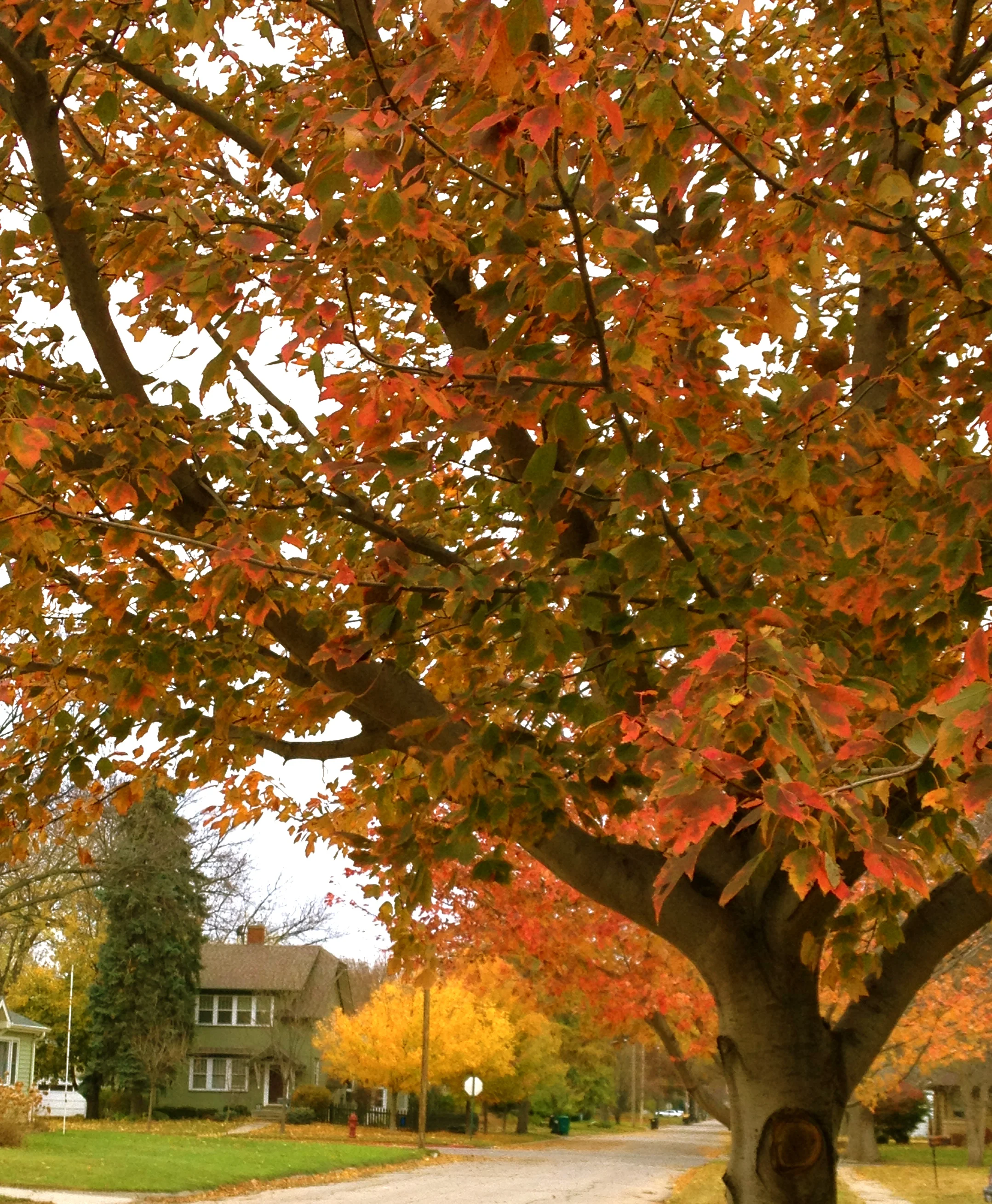 5 Ways to Embrace the Fall Season