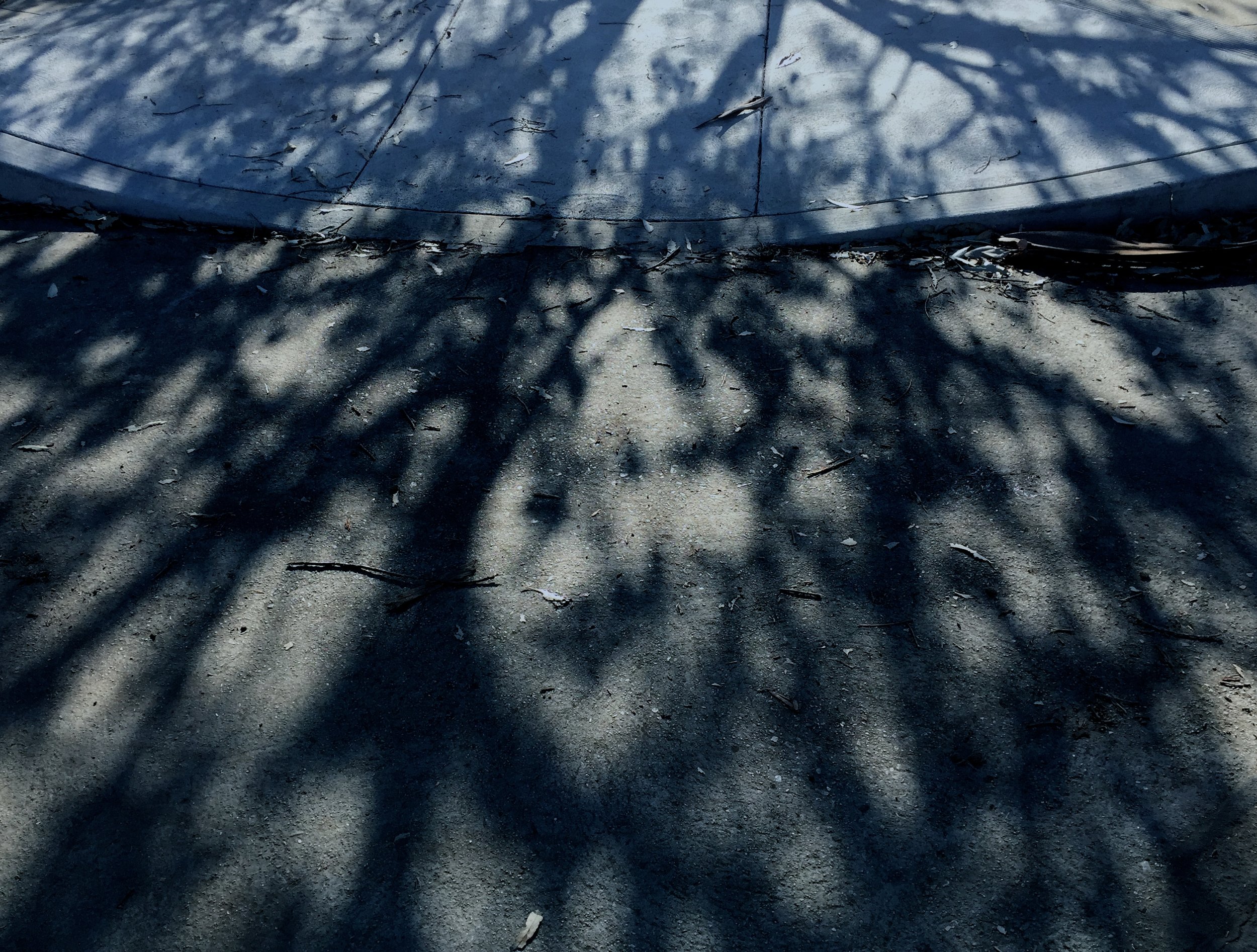 Relationships: Discovering the Shadows in the Moonlight