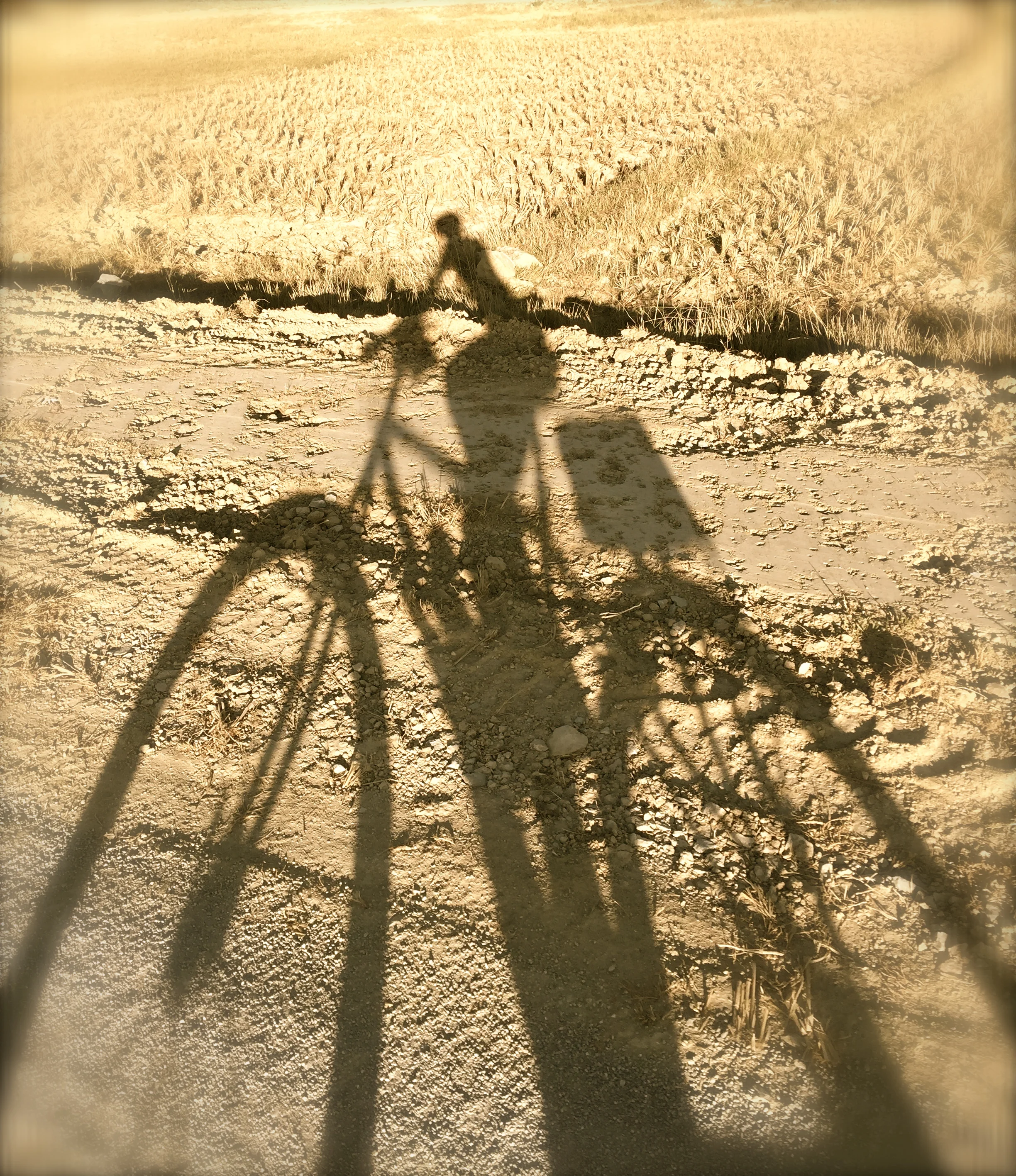 The Function of Fantasy: Imaginary Play is for Grown-Ups Too