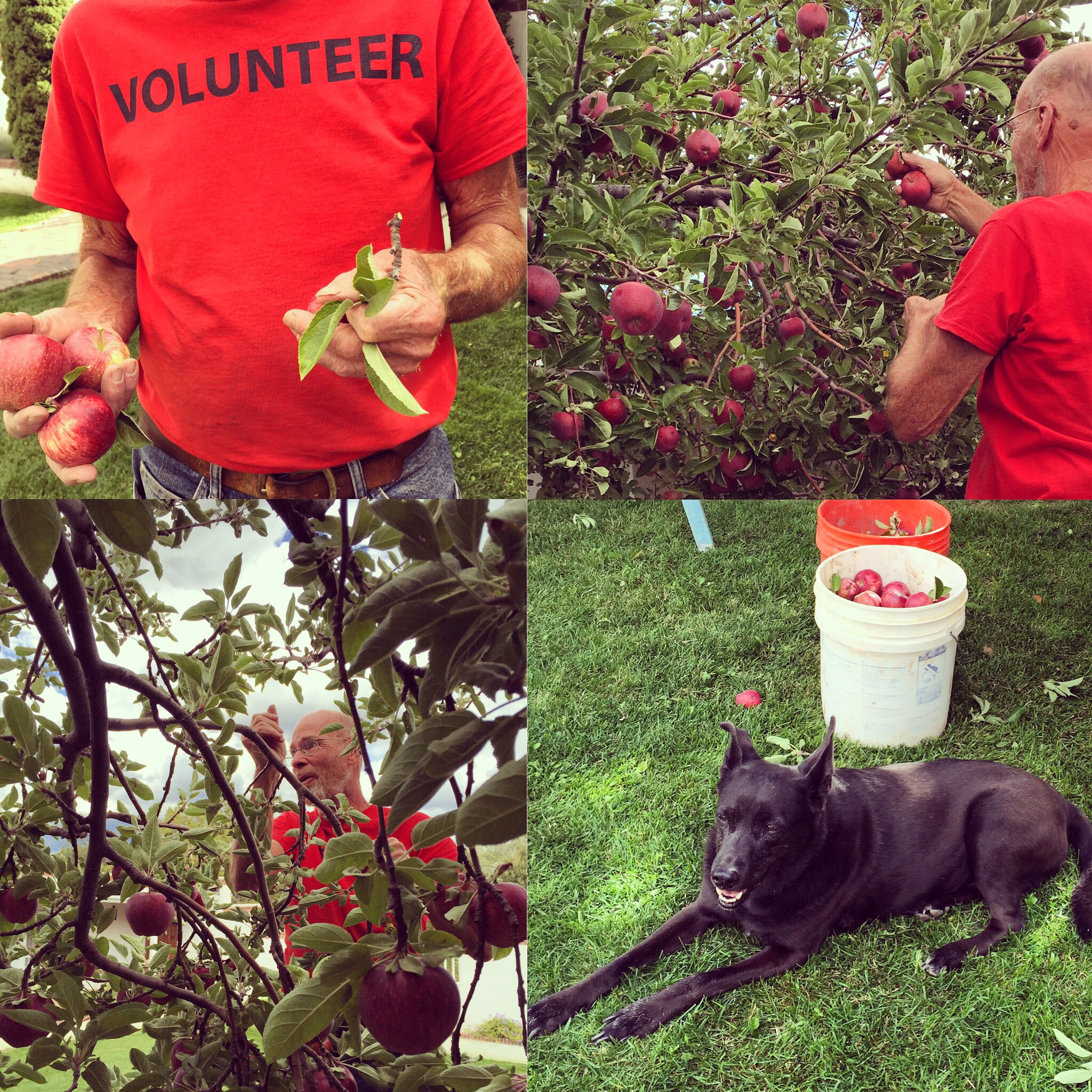 Nuclear Chemist with a New Cause