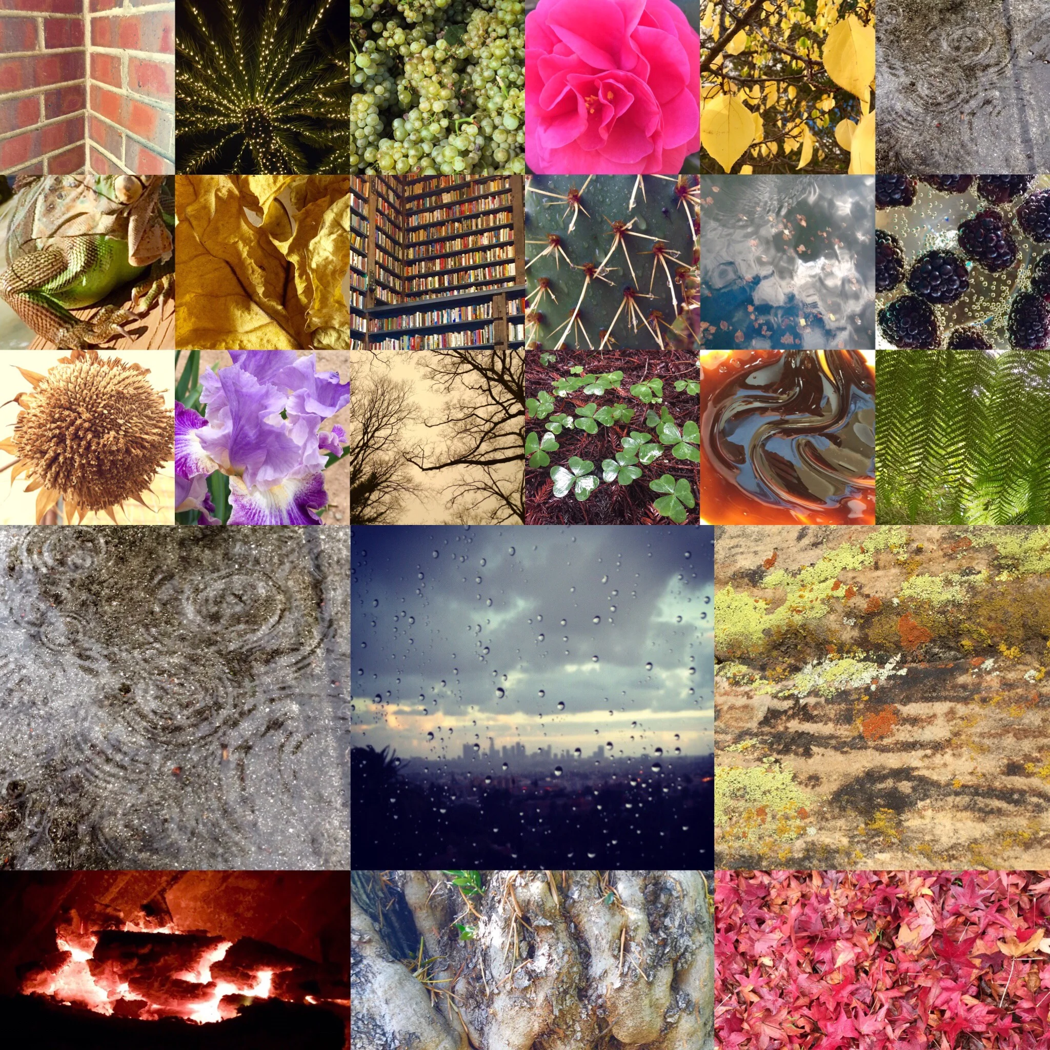 Emotion: Life's Texture