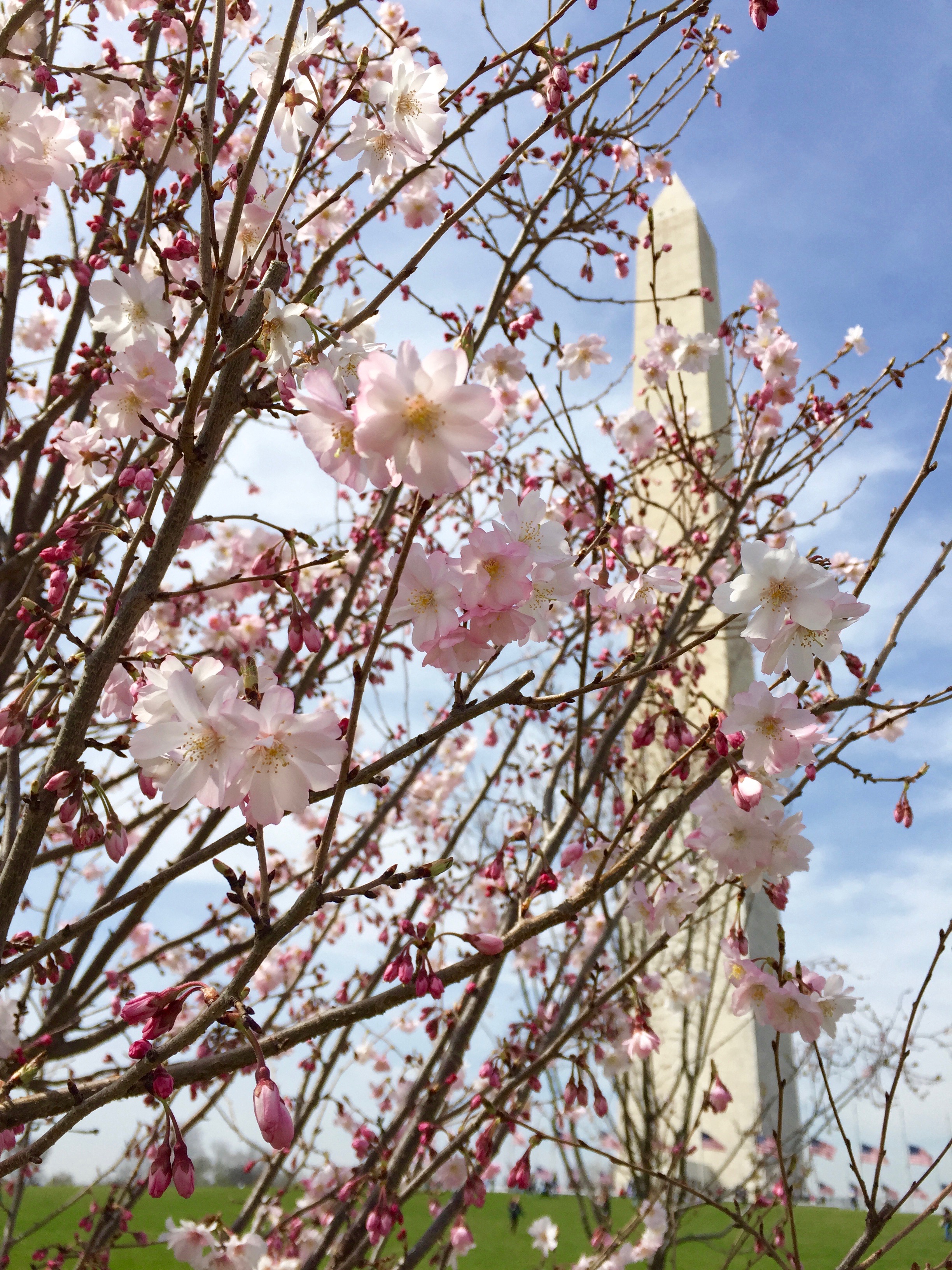 Women: Voices and Choices