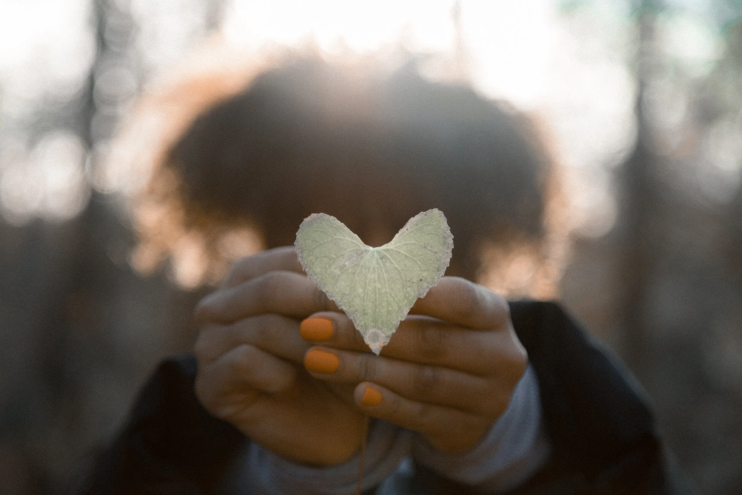 The Power of  a Broken Heart
