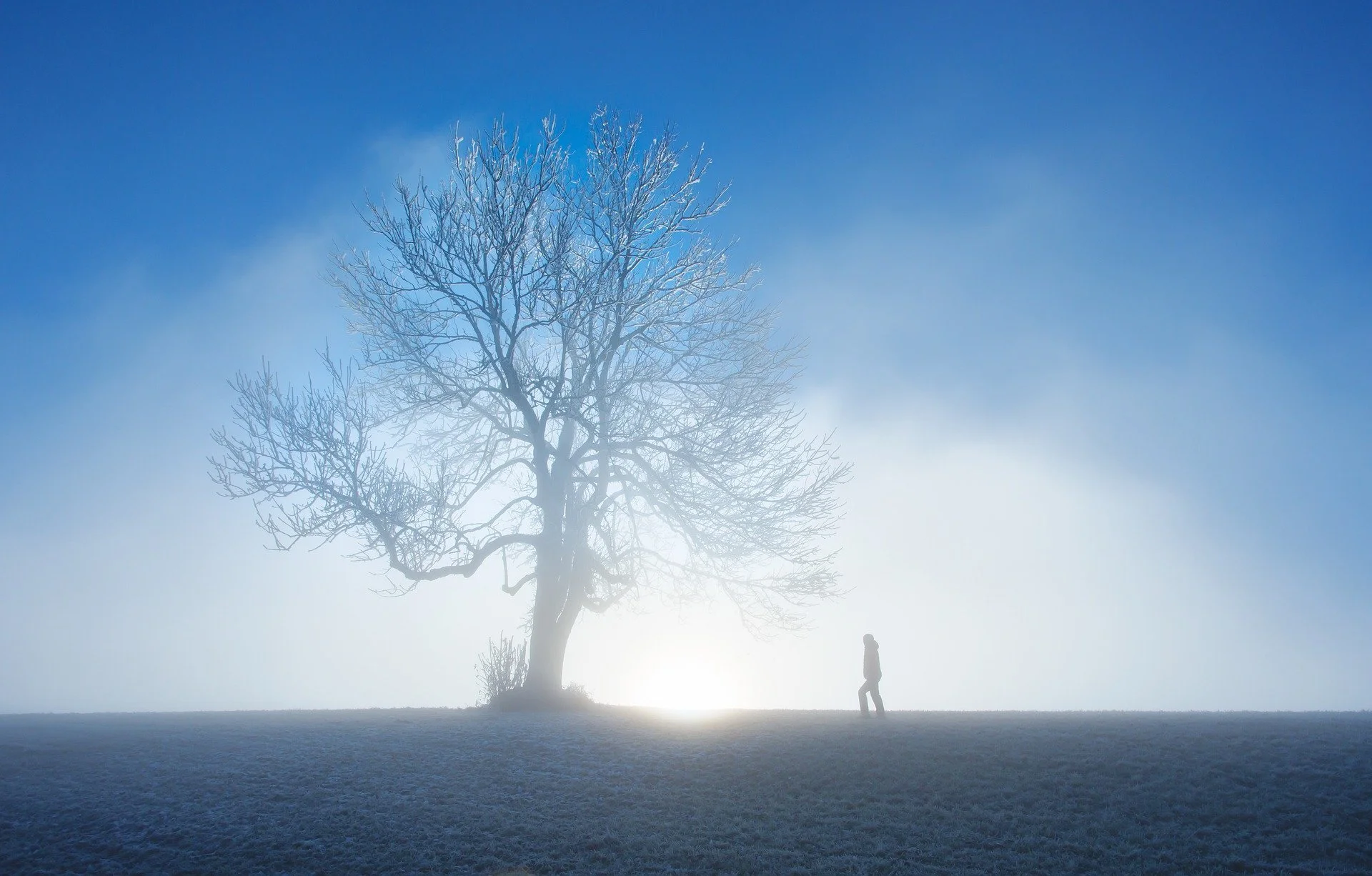 Rooted in Self-Trust