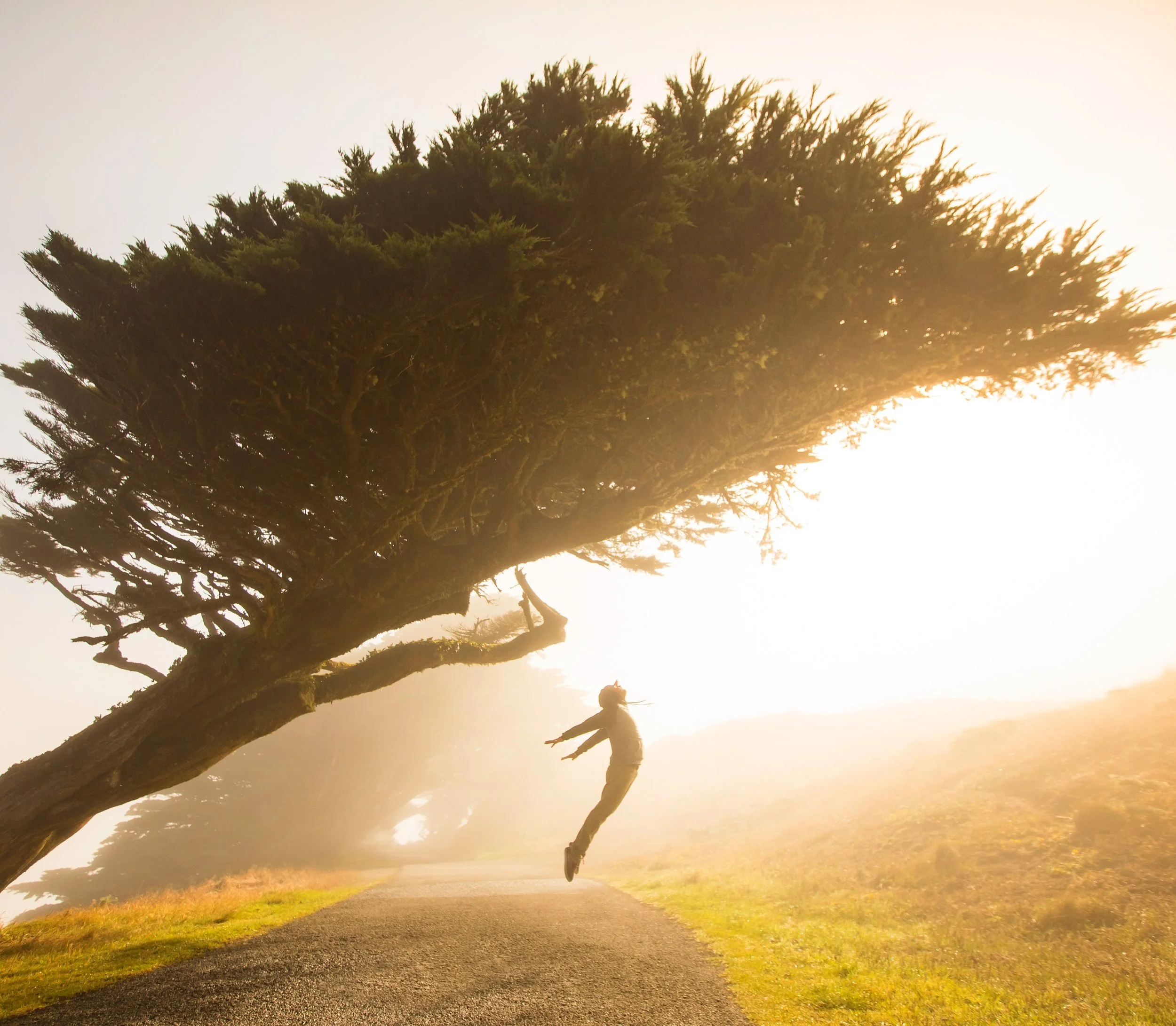 Beyond Our Potential ~ Thriving in Adversity