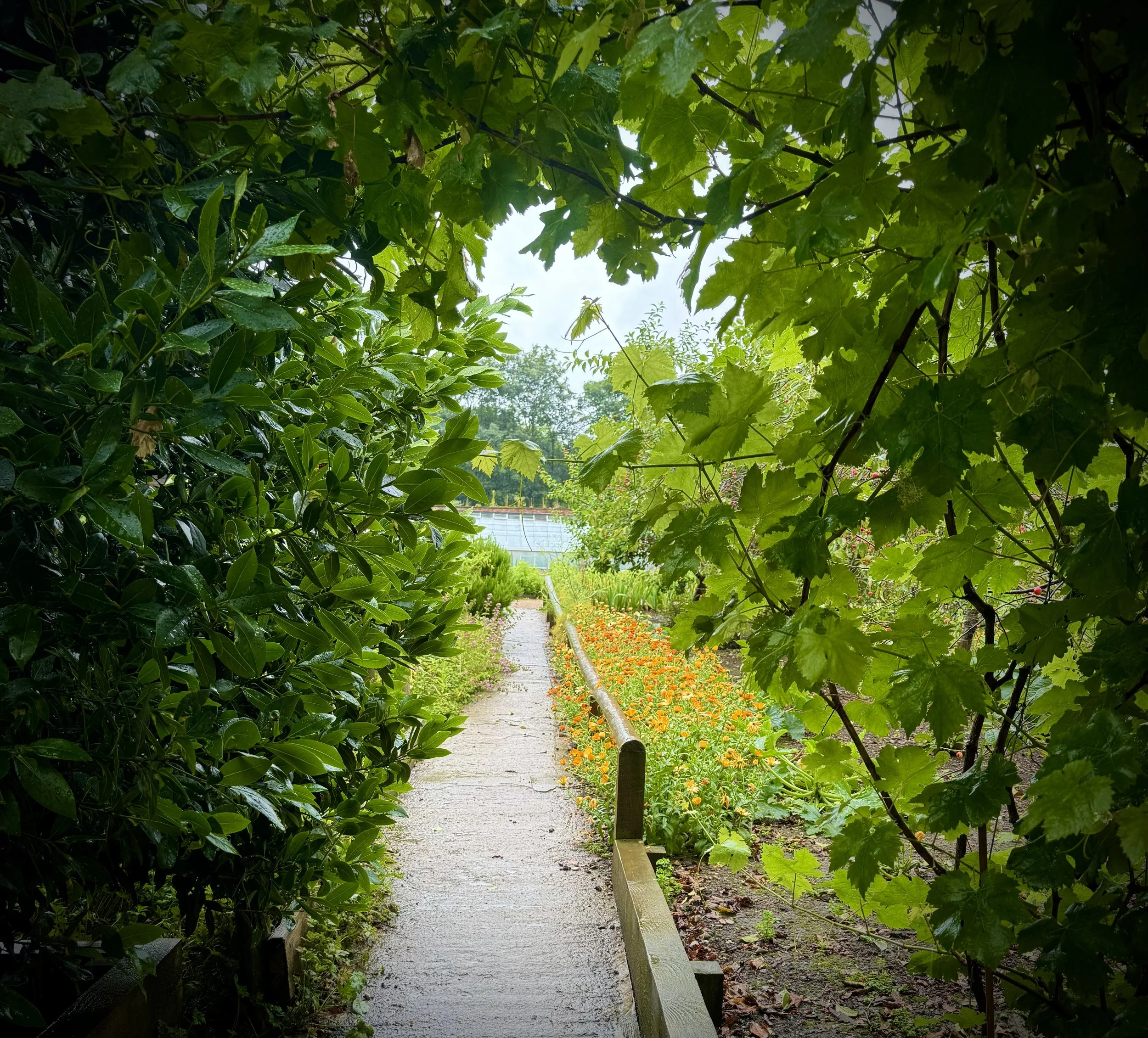 APTGW - Essex Bodgers Meet Sat 20th July