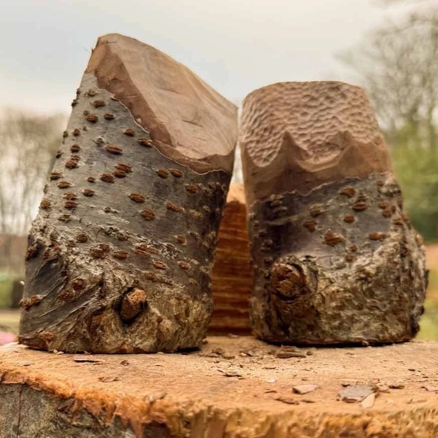 APTGW - Essex &amp; London Bodgers News