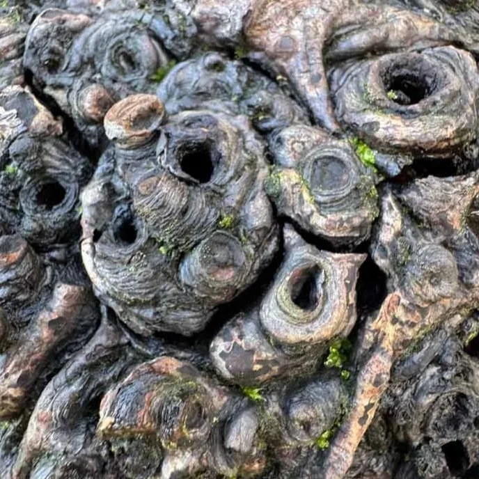 APTGW - Essex / London Bodgers Newsletter + Next Meet