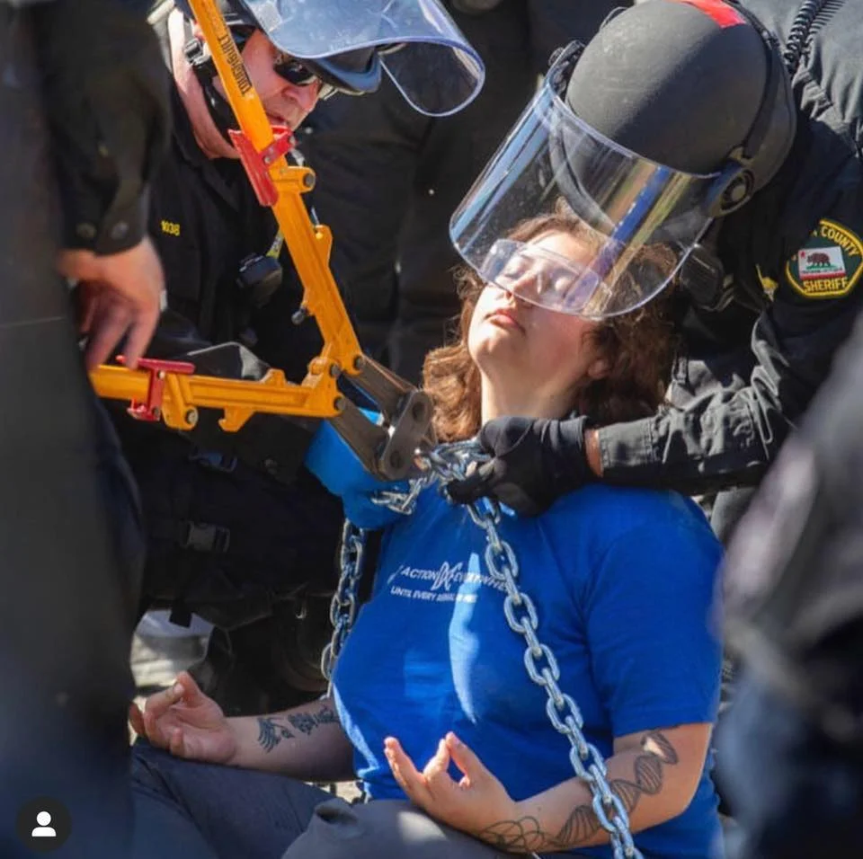 “This photo is the definition of non-violent civil disobedience.” - Matt Braun Before I became an activist, I never thought that I would chain myself to the gate of an operation responsible for hatching, raising and murdering millions of ducks a year. I never imagined that when the police gave me the option to leave or get arrested, that I would look at them calmly and say “get arrested.” On 6/3/19, I was arrested alongside 75 animal rights activists for demanding that the police enforce the law. Whistleblowers have revealed to us hours of horrifying footage taken within this farm documenting criminal cases of animal cruelty. Under California Penal Code 597 it is a felony to torture, torment, overload, mutilate, deprive of necessary sustenance or cruelly kill any animal. Grotesque footage highlighting the abuse occurring inside of this farm has been turned over to the proper authorities again and again, yet they refused to enforce the law that they have sworn to impose. California Penal Code 597e states that if an animal is impounded and does not have access to food or water for more than 12 consecutive hours then any person may enter the property in which they are being held and provide them with the assistance they need to survive. Since law enforcement wouldn’t help them, we did. One team of activists removed ducks from the slaughter line and placed them safely on the ground, then turned the machine off before bike locking their own necks in place of the birds. One worker turned it on again, nearly killing one of our activists who was hospitalized later that night. That team then moved to the front gate, where myself and seven other activists had chained ourselves to the gate and held the bodies of dead ducks that has been thrown in a dumpster labeled “inedible”. Over 500 activists joined us in the coming hours, along with dozens of police in riot gear sporting batons and a helicopter that watched our every move. We sat there, singing for animal liberation and pleading with the officers to do their job and start an animal cruelty investigation immediately on the farm we were occupying. They refused. 5 hours passed before an officer announced that anyone who didn’t vacate the property would be arrested. He gave us five minutes to move. People did move. Dozens of activists peacefully crossed the streets holding up flowers and sat down in front of us, locking arms. The officers began arresting us one by one. Once they had removed everyone without a chain around their neck they moved onto us. They began taking the diseased birds from our arms. That day I cradled the bodies of two baby ducks. Ducklings raised for their flesh are killed 7-8 weeks after hatching. Babies. They are killed as babies. These aquatic animals never had the pleasure of experiencing their natural habitat. They never got to swim. They spent their entire lives walking on wire floors and struggling to reach food and water. They were impounded in sheds with thousands of other individuals suffering the same fate. Their freedom came when they were finally able to escape the bodies they had been imprisoned in, and that is a tragedy. Before the officers took them away, I promised them that we are transforming a system of violence into unconditional love. When asked, I handed them over; the memory of them never leaving my mind. I knew that revolutionary history was taking place and in that I found peace. An officer came to each of us and said “ You have an option. You can either leave now and not get arrested or get arrested. What is your choice?” The feeling of strength built as I watched each of my friends say “get arrested.” Then, I heard the words announce themselves from my own being. My friends locks were cut one by one, releasing the chains from their necks. Every time someone stood up the crowd of activists on the other side announced their love for them in a wave of cheers and shouts of “I love you!” I held hands with the women by my side who I now consider family. We looked into each others eyes and whispered “we did it.” While we had chained ourselves to the front gate, our friends had rescued 32 ducklings. My turn. The officer put safety glasses on me and explained to me what they were about to do. He asked me if I was okay. I said yes. I closed my eyes and tilted my head up. I called reiki into my being. I sent love to myself, to the officers, to the activists, to the birds and to the world. I felt the chain lift off my neck as the bolt cutter began to break the lock that had kept me in place. “Are you okay?” the officer asked again. I hadn’t expected them to be so kind to us. “Yes” I said again. I was okay. I wasn’t the one being enslaved in the sheds behind us. I wasn’t the one hanging by my feet on the slaughter line. I wasn’t the one being torn apart from my mother. I wasn’t the one being repeatedly raped and impregnated, only to have my babies torn from me. I wasn’t the one who’s only chance at freedom was if the truck sending me to my demise crashed and my cage door opened. I am a human being, and with that title comes an enormous amount of privilege. If even a fraction of what is being done to non-human animals in the animal agriculture industry was done to me the person responsible would be in prison. And that’s not what I want. I don’t want them to go to prison. Having experienced jail for just two days, I wouldn’t wish that on anyone. I want them to be shown love. I want this system that puts some humans in a position where their only way to survive is to kill animals to completely transform. I want year-round veganic greenhouses to replace all factory farms and slaughterhouses. I want workers to feel respected and loved each and every day. I want the non-human animals trapped in this system to be free. I want them to experience love and happiness. I want the earth to smile as the children that walk upon her live in a blissful state of being. I want each and every one of us to be at peace. That is what I am spending every moment of my existence creating. That is why I started the non-profit organization PEACE: Promoting Equality, Acceptance & Compassion Everywhere. That is why I moved to Iowa, to bring PEACE to the heart of animal agriculture. That’s why we’re opening Plant - a vegan restaurant and community event center aimed at creating a loving space for all peoples. That is why all surplus profits Plant receives will be put towards creating a sanctuary from a factory farm. That’s why we’re building an eco village from the ground up and establishing the first ever University of PEACE. When the lock snapped and the chain fell to the ground, I opened my eyes and stood up. The crowd around me erupted with light. I have such gratitude in my heart for each individual who makes this community what it is. I am thankful to every person who gave me their love and compassion and gratitude. With my hands zip tied together, I turned to the crowd and said “I love you all.” I am all in peace. I am love. Who are you?