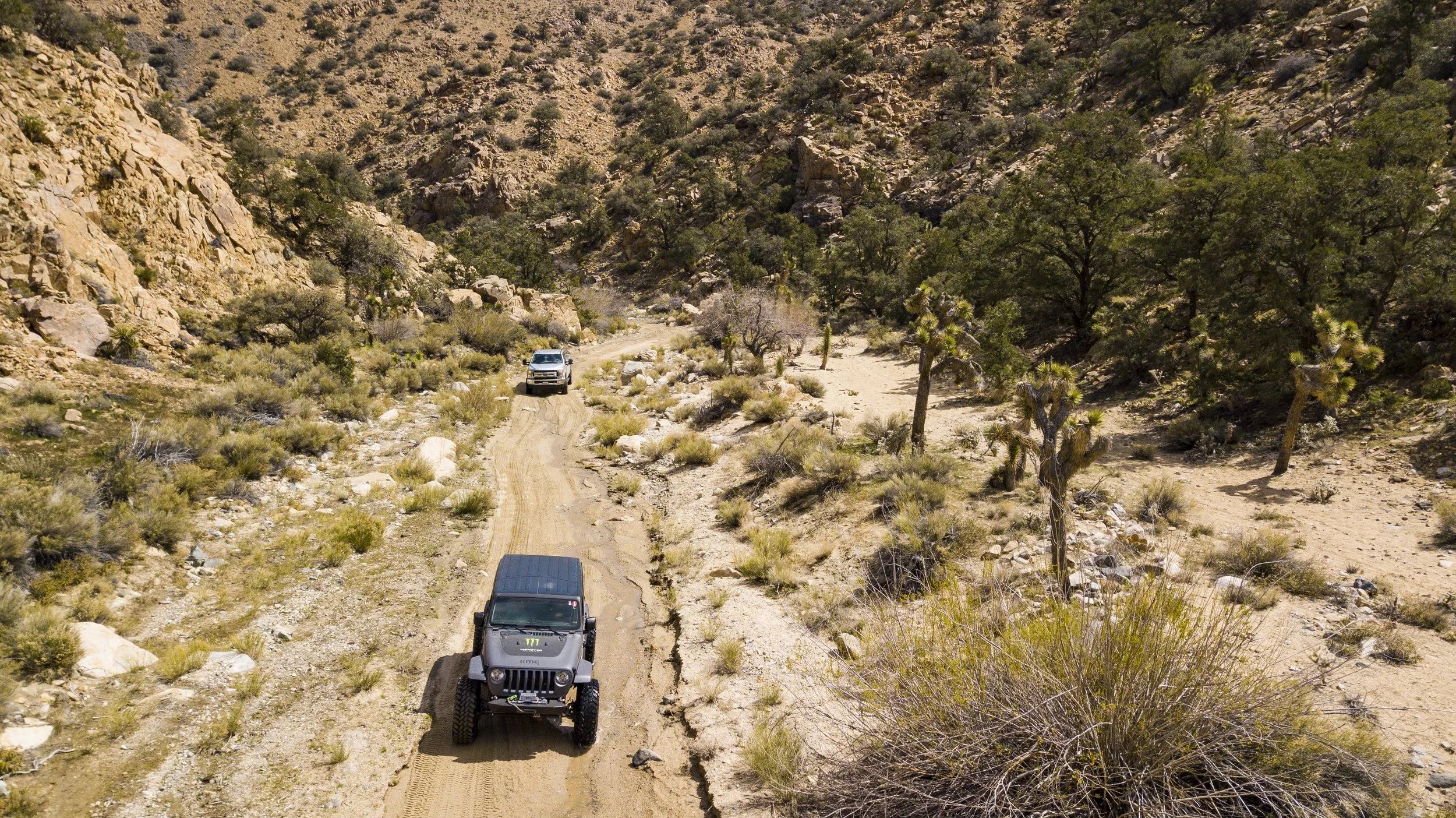 3_29_CaseyCurrie_RattlesnakeCanyon_GrayCurrieJeepJL_007.jpg