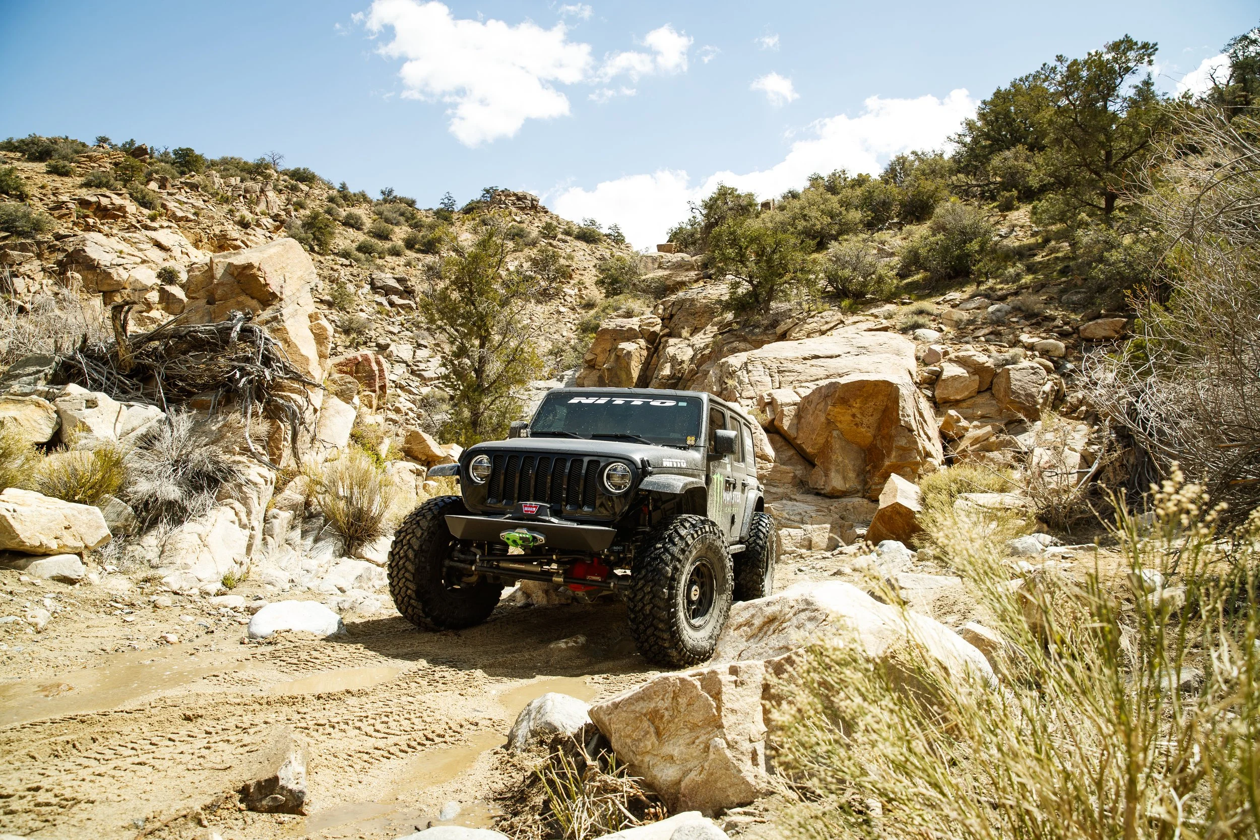 3_29_CaseyCurrie_RattlesnakeCanyon_MonsterJeepJL_016.jpg