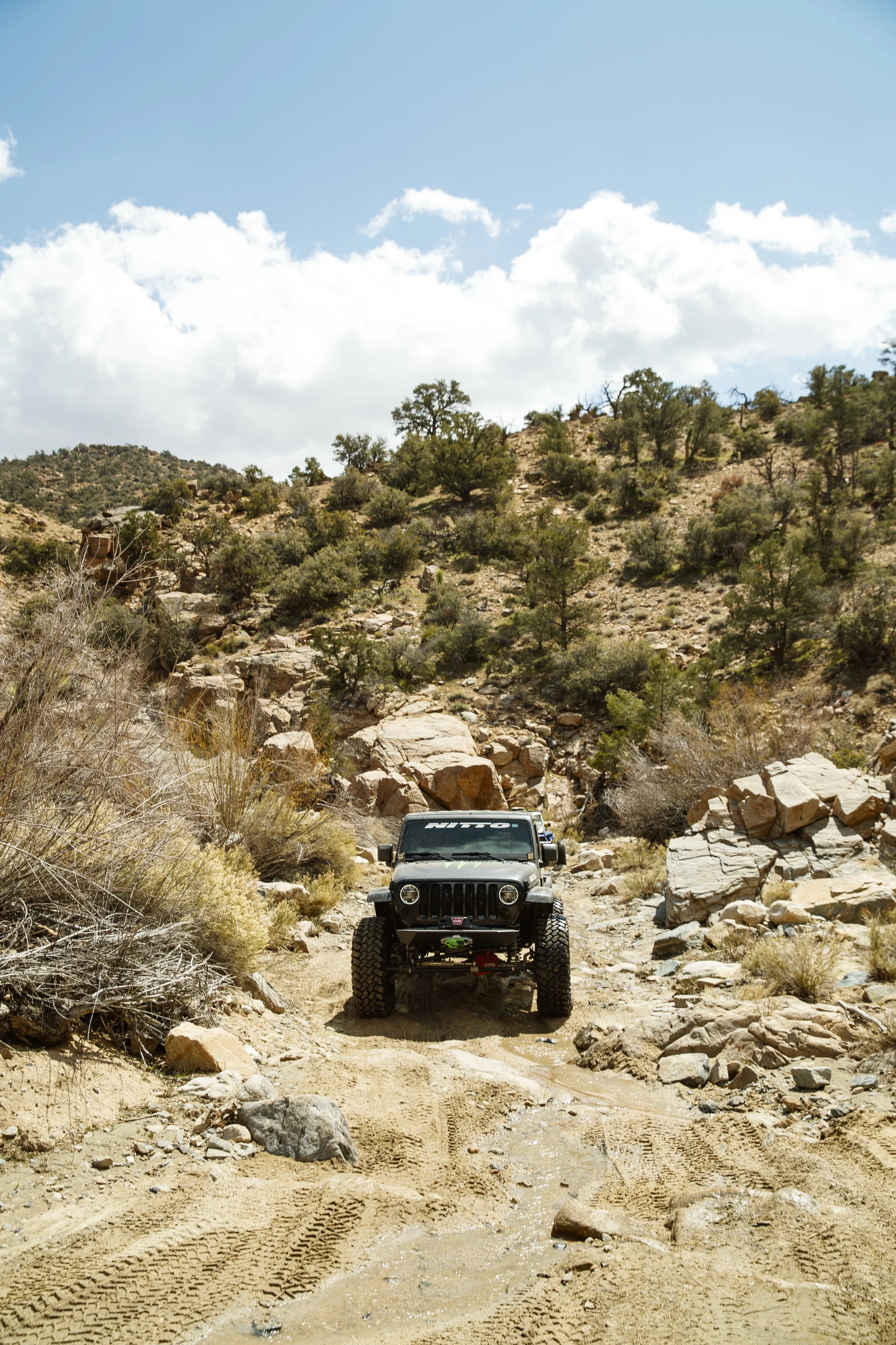 3_29_CaseyCurrie_RattlesnakeCanyon_MonsterJeepJL_019.jpg