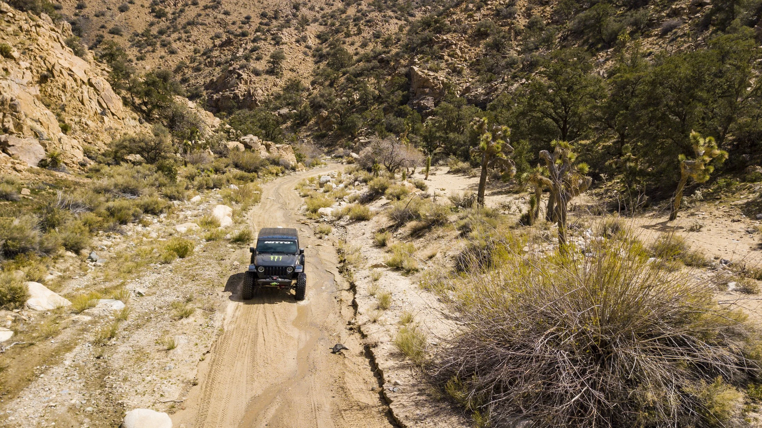 3_29_CaseyCurrie_RattlesnakeCanyon_MonsterJeepJL_025.jpg