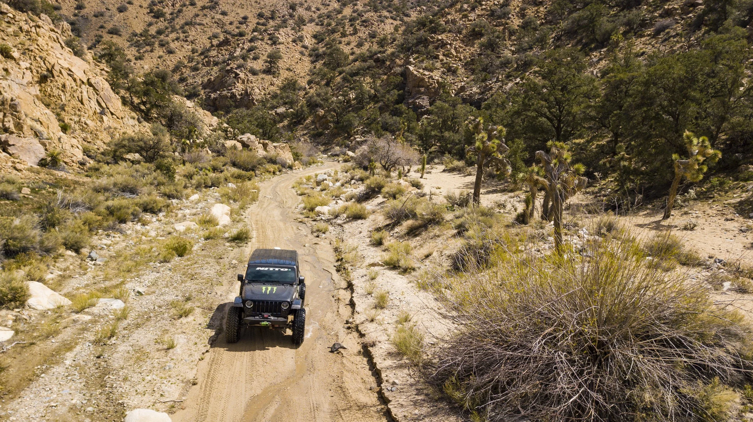 3_29_CaseyCurrie_RattlesnakeCanyon_MonsterJeepJL_026.jpg