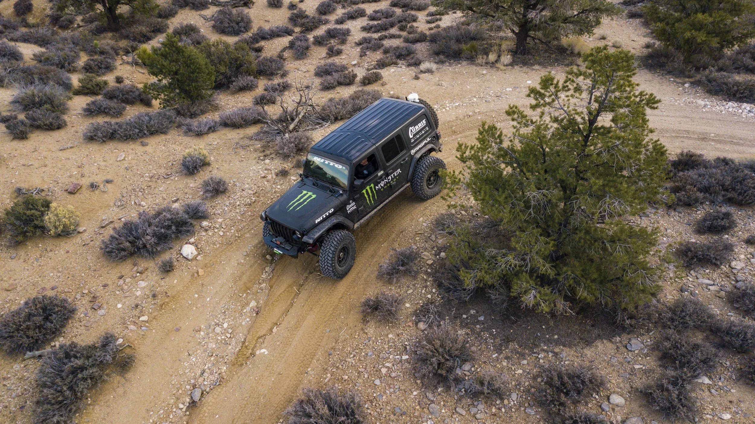 3_29_CaseyCurrie_RattlesnakeCanyon_MonsterJeepJL_029.jpg