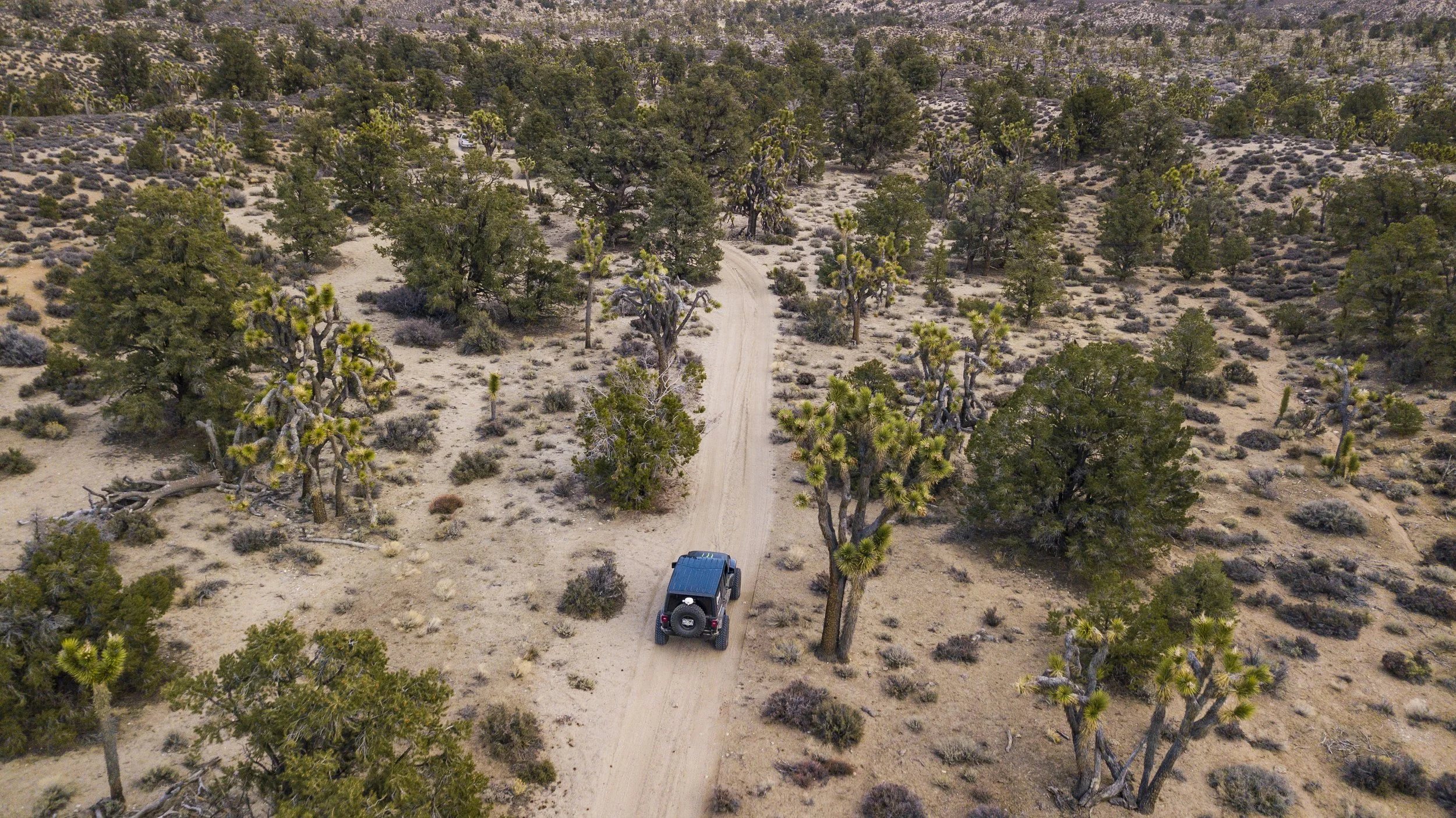 3_29_CaseyCurrie_RattlesnakeCanyon_MonsterJeepJL_032.jpg