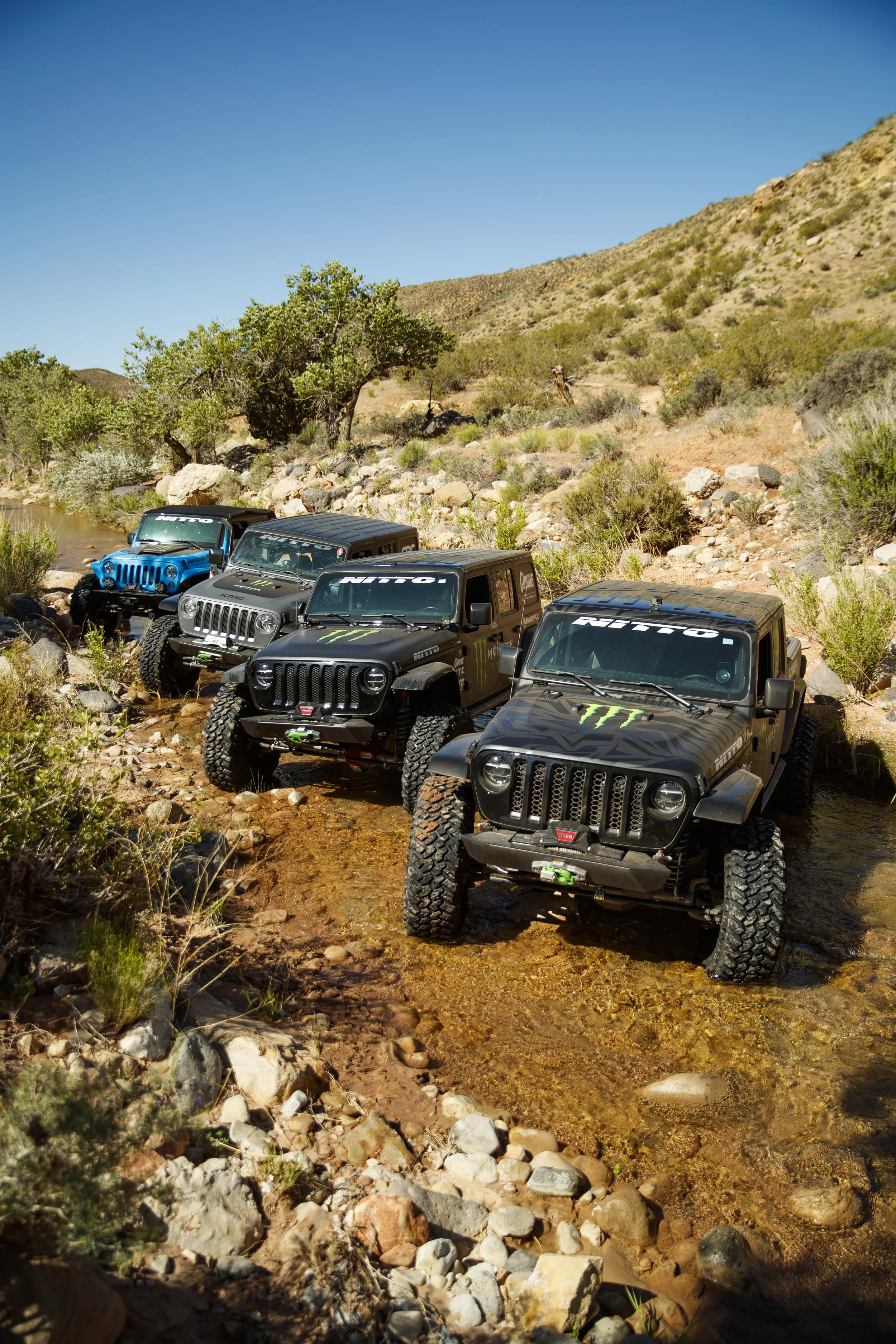 5_25_CaseyCurrie_SandHollowUtah_RiverTrail_NoCrop_003.jpg