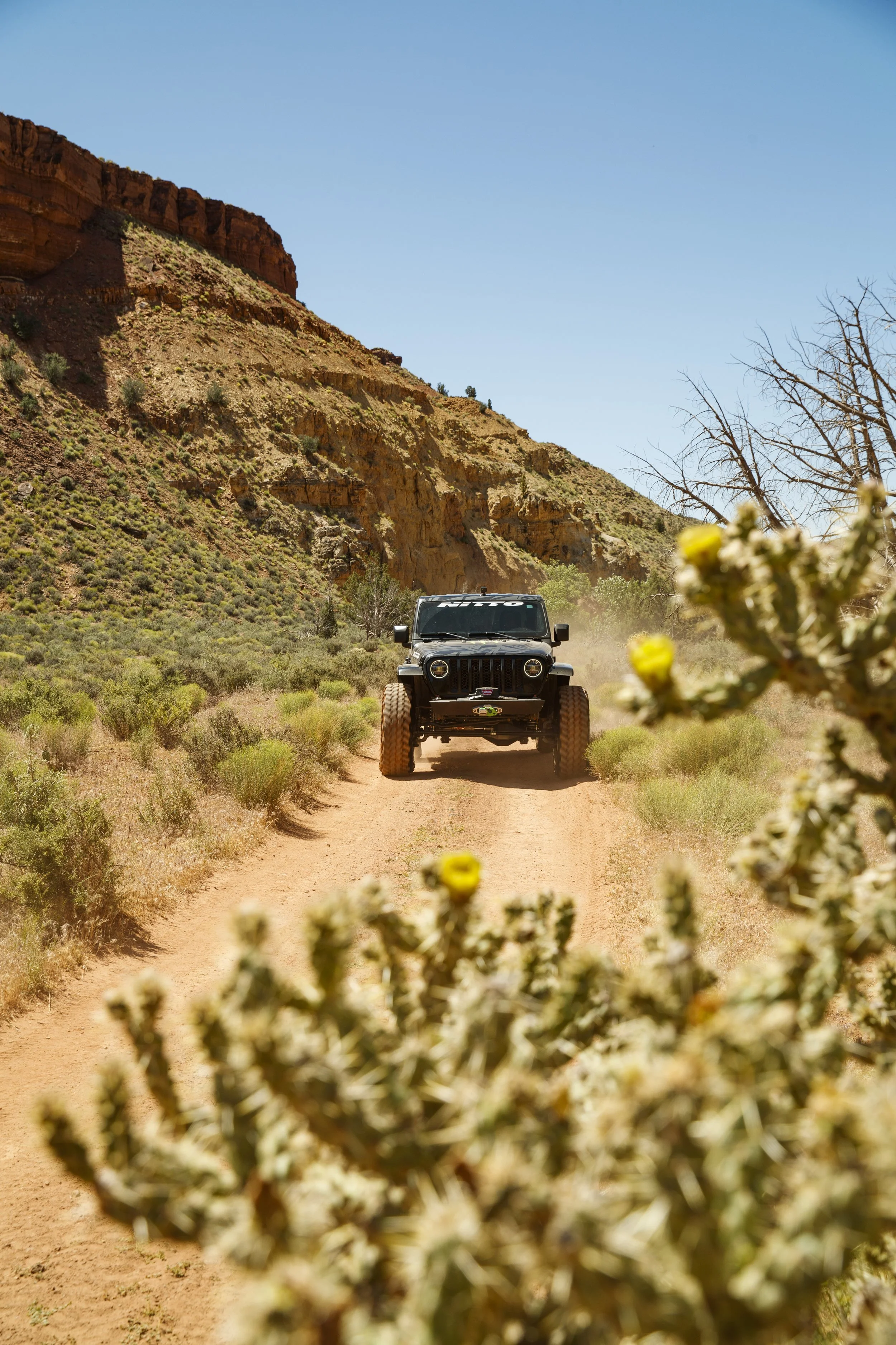 5_25_CaseyCurrie_SandHollowUtah_RiverTrail_NoCrop_010.jpg