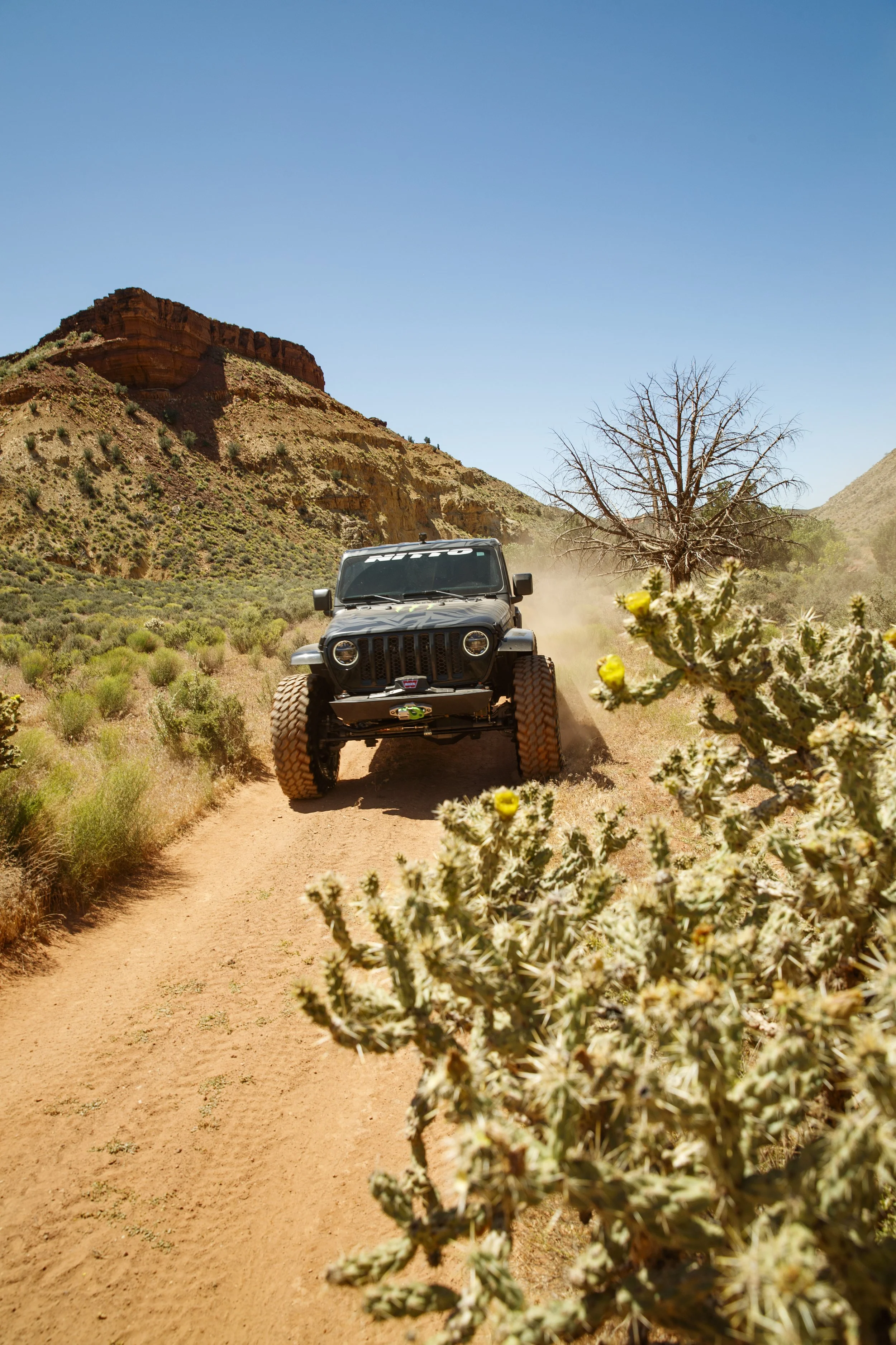 5_25_CaseyCurrie_SandHollowUtah_RiverTrail_NoCrop_011.jpg