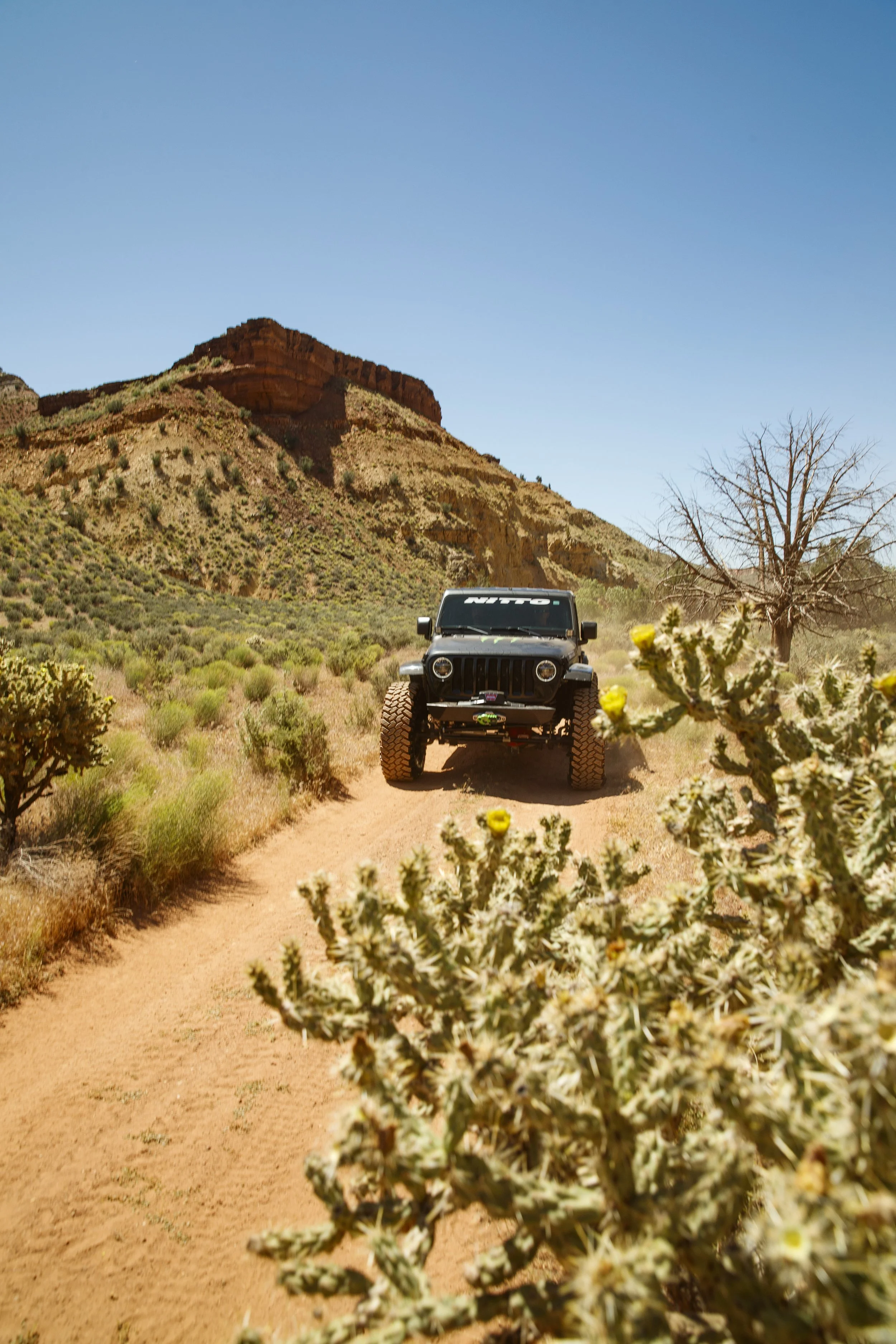 5_25_CaseyCurrie_SandHollowUtah_RiverTrail_NoCrop_012.jpg
