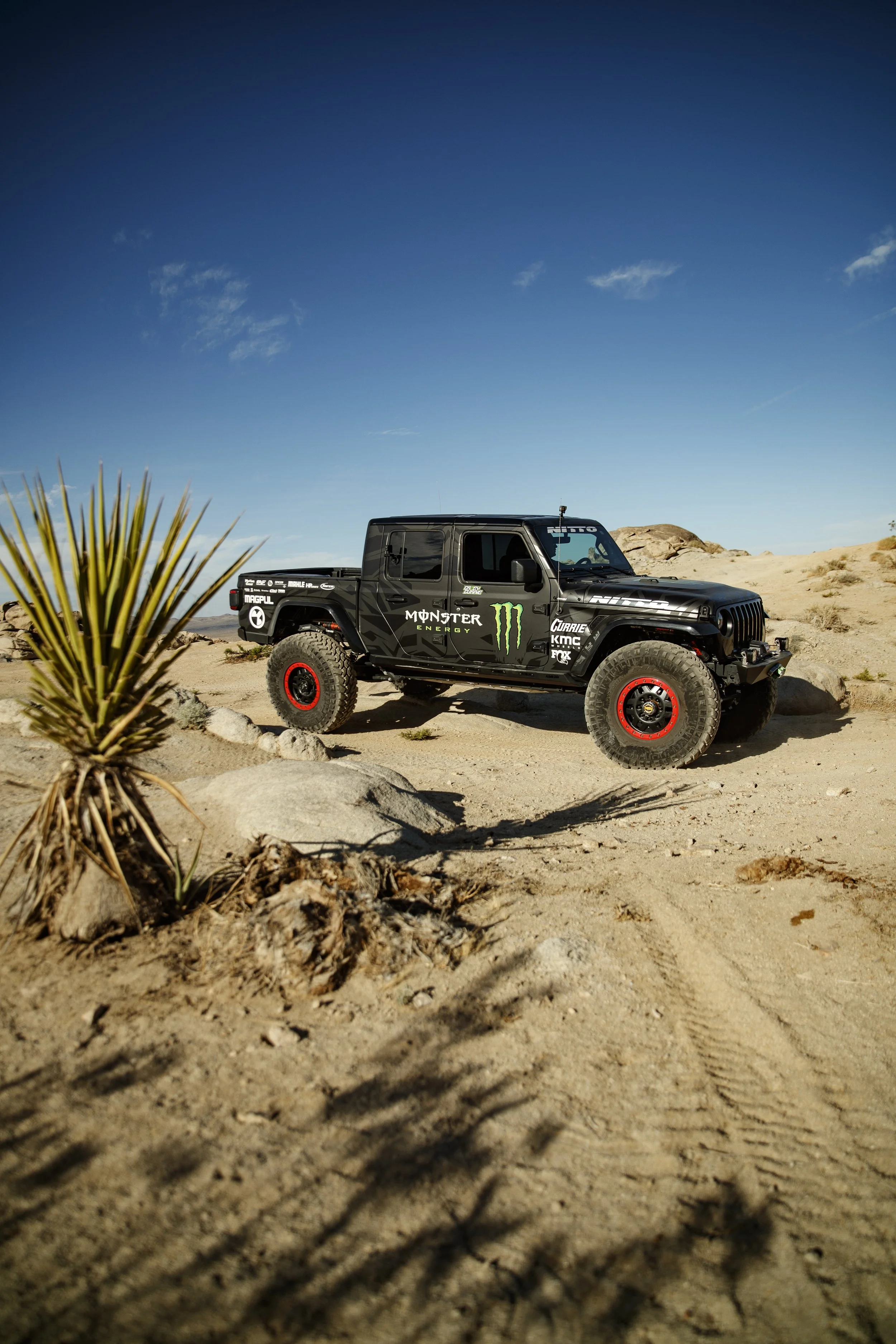 6_8_CaseyCurrie_25Hour_BigBear_NoCrop_014.jpg