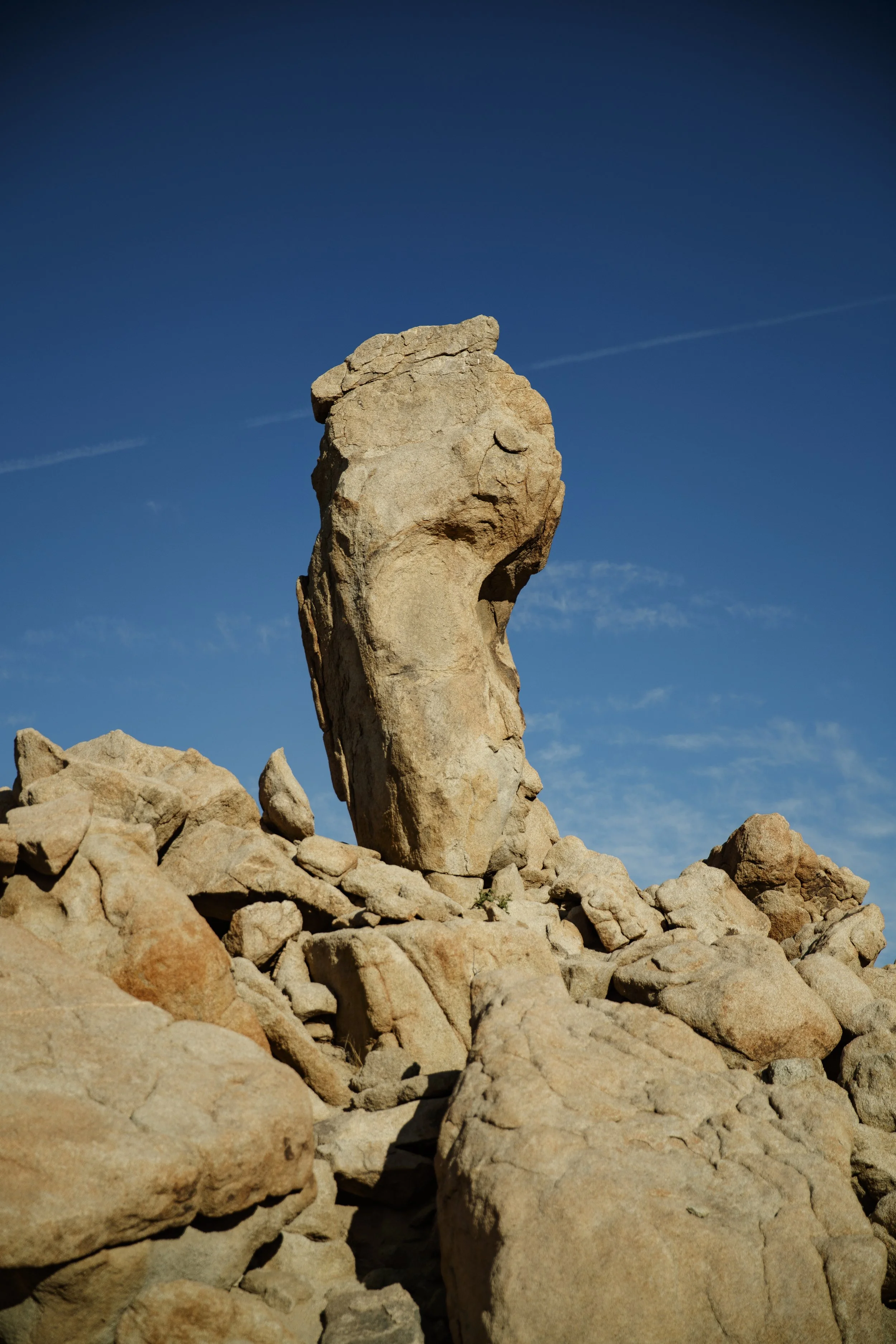 6_8_CaseyCurrie_25Hour_BigBear_NoCrop_019.jpg
