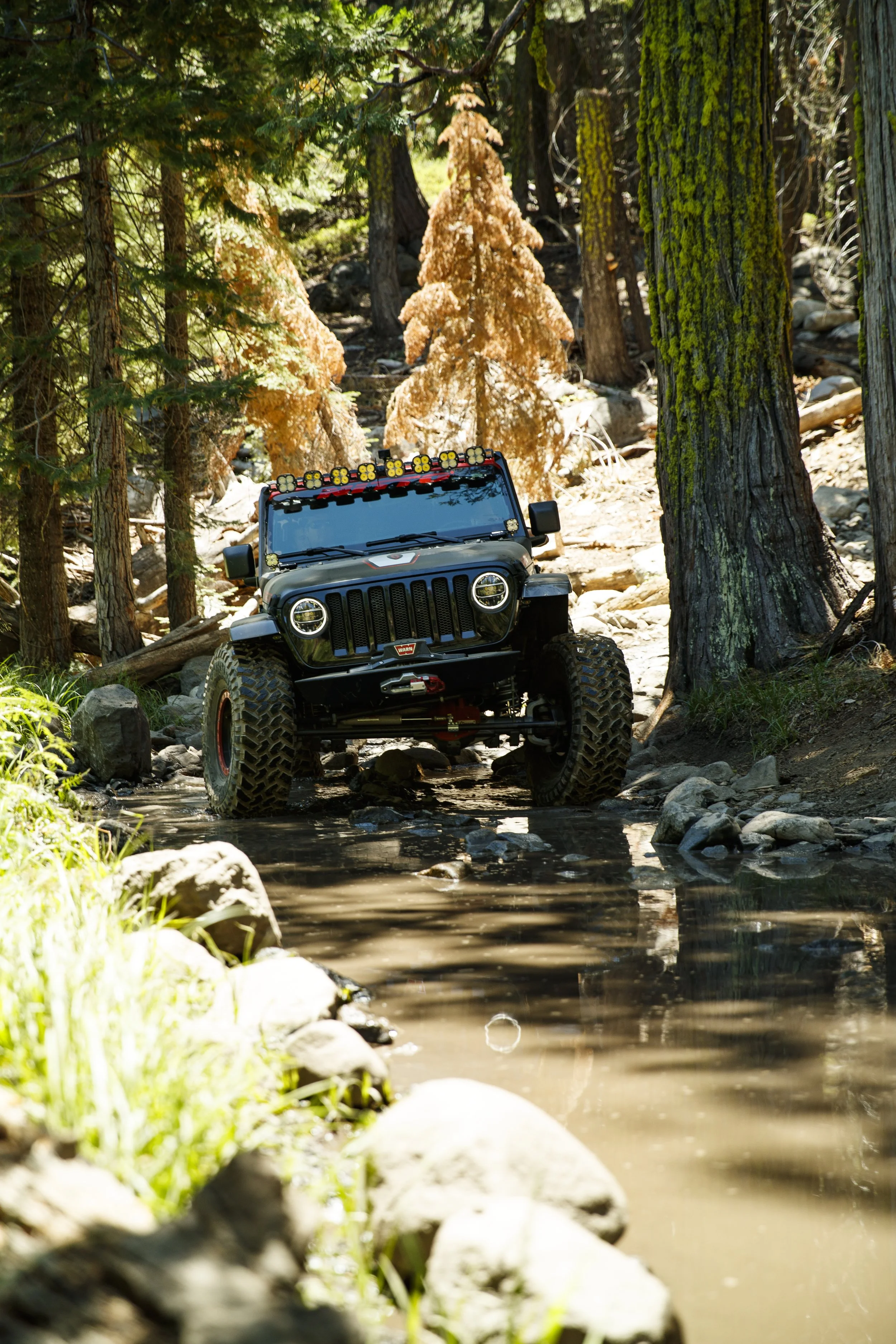 7_23_CaseyCurrie_RubiconTrail_JeepersJamboree_CurrieRedJeepJL_NoCrop_006.jpg