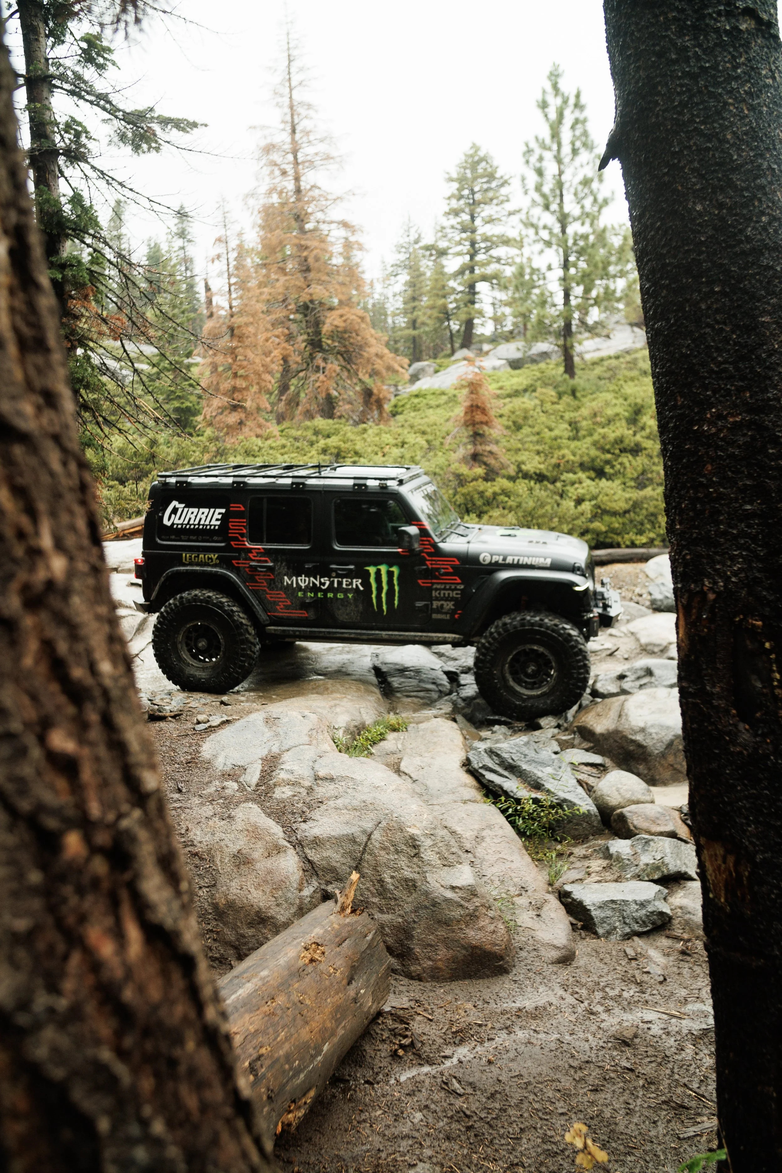 8_21_CaseyCurrie_FoxShocks_RubiconTrail_Jeep392_NoCrop_012.jpg