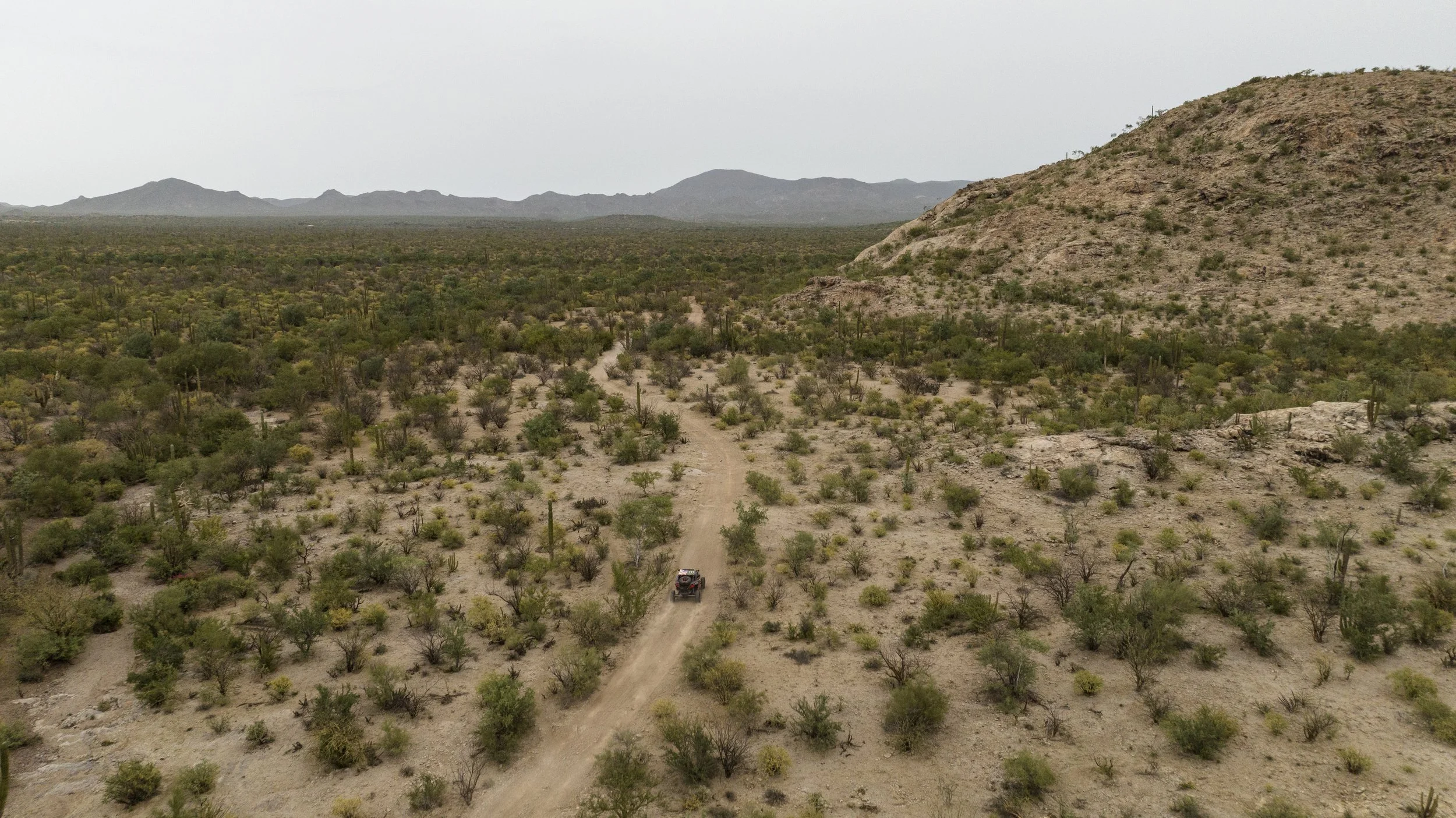11_7_CaseyCurrie_Baja1000PreRunning_BajaCaliforniaMexico_PolarisRZR_NoCrop_024.jpg