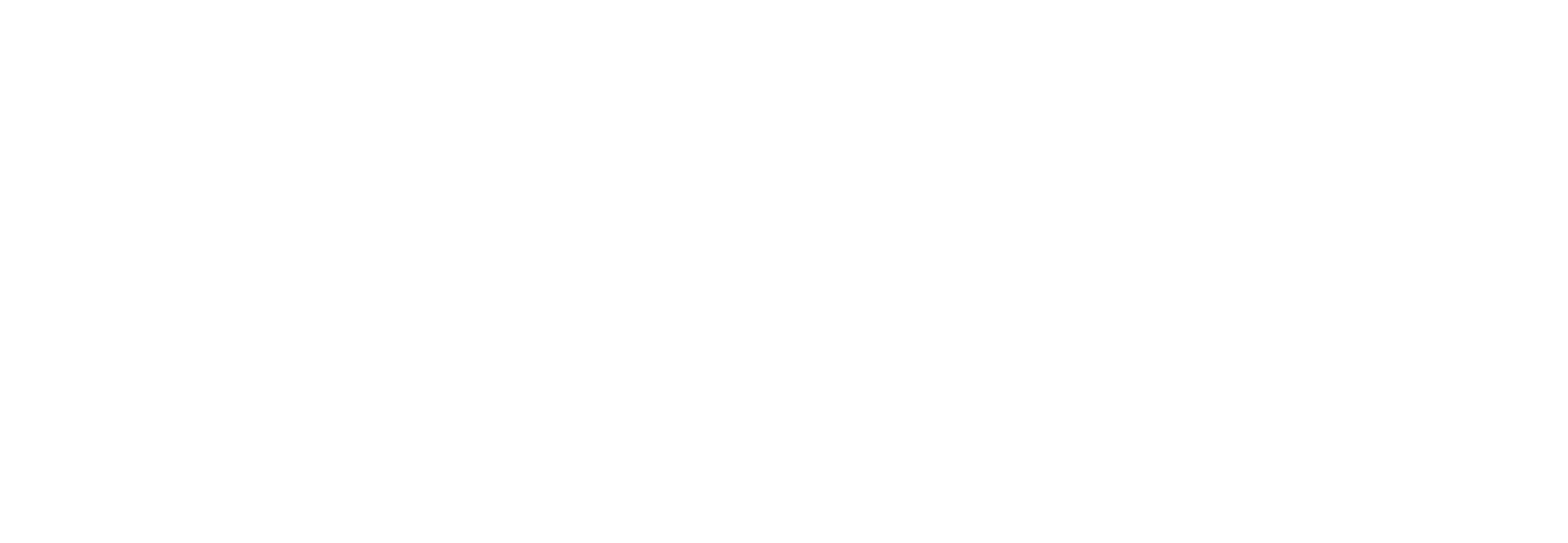 ParagonBuildersHomeHeroLogo.png