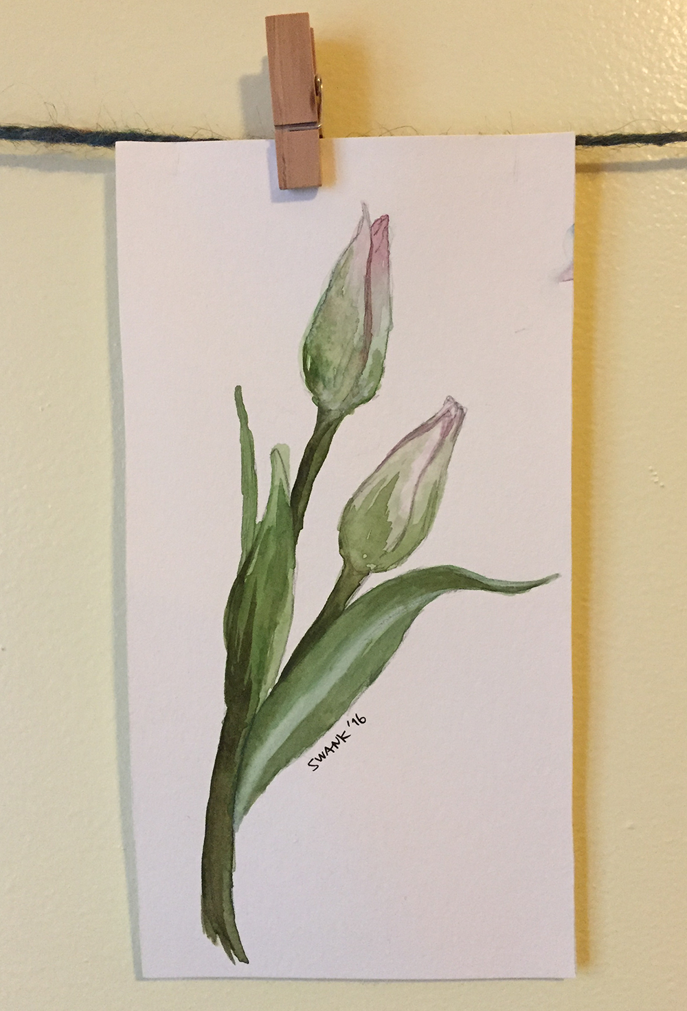 myart-tulips.png