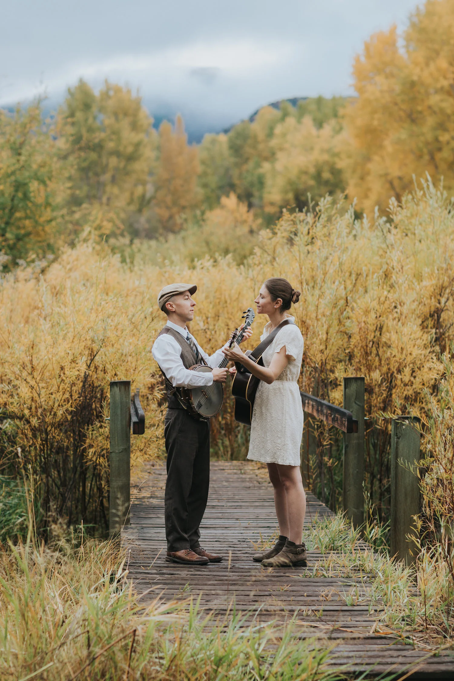 Ordinary Elephant at Society Hall 