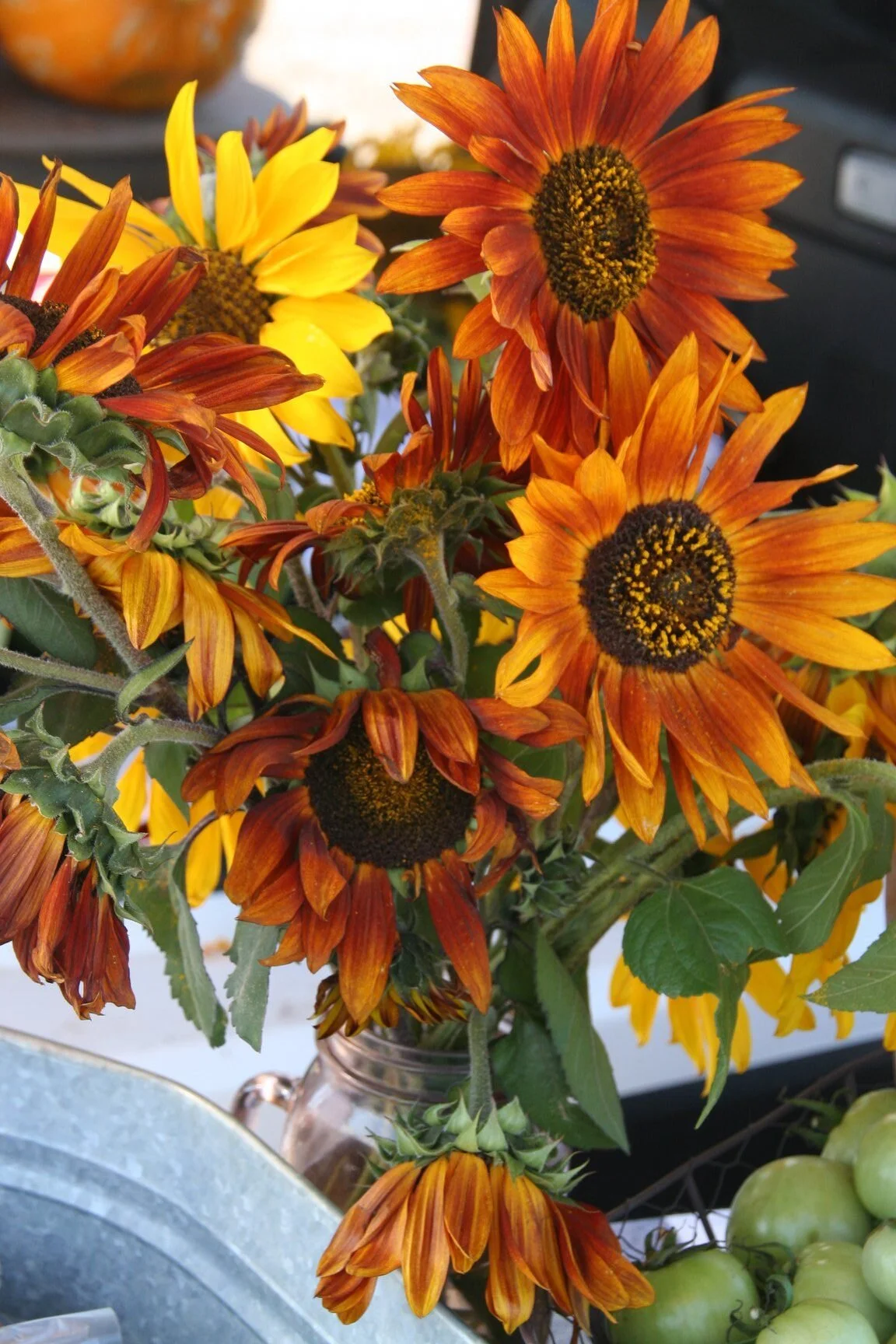 Alamosa Farmer's Market 