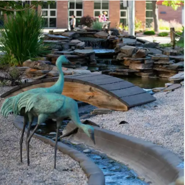 International Women's Day Adams State Event 