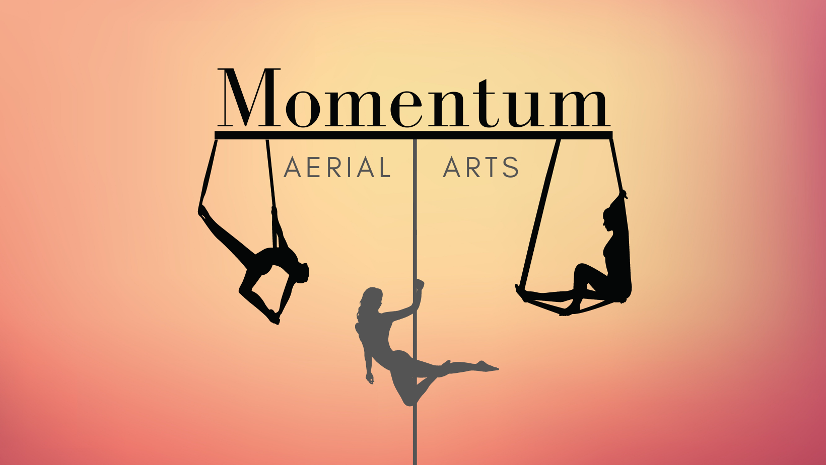 Momentum Aerial Arts