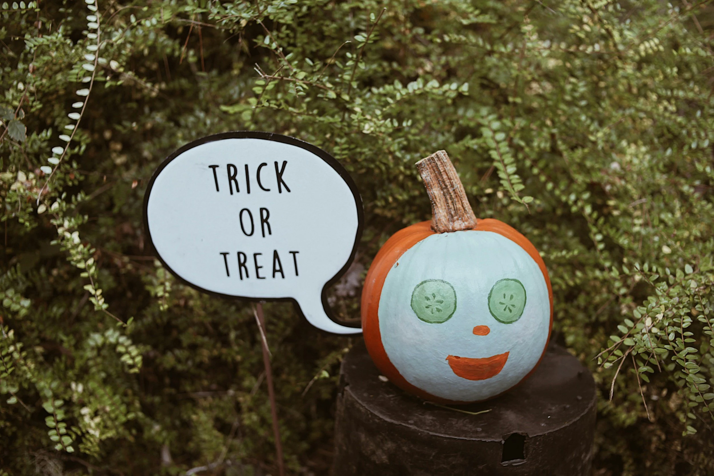 Trunk Or Treat
