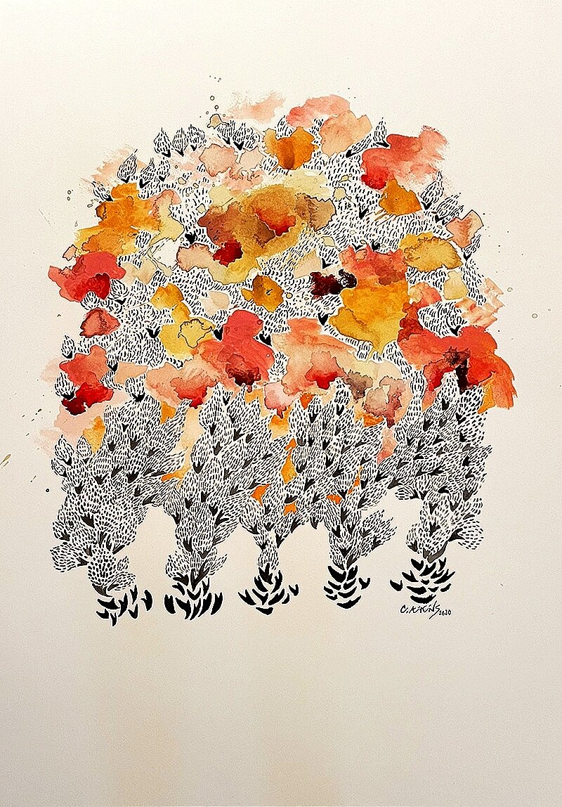 Desert Flor and Fauna