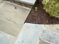 Drainage 3