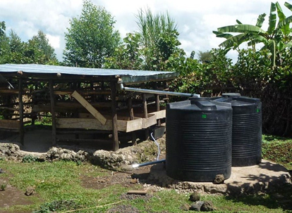 Step-One Model Cowshed & Rain Catchment System
